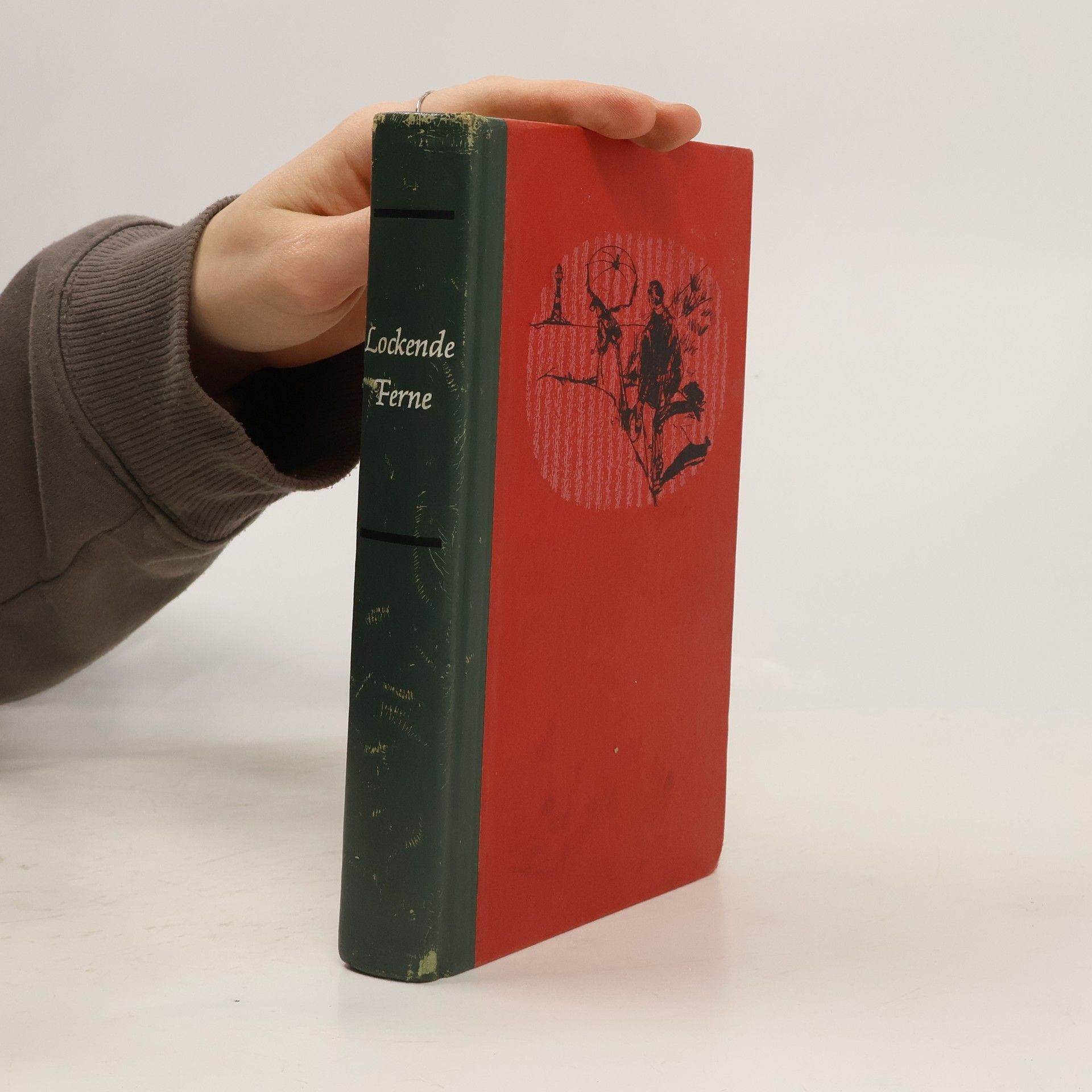 Elizabeth Hoyt Lockende Ferne