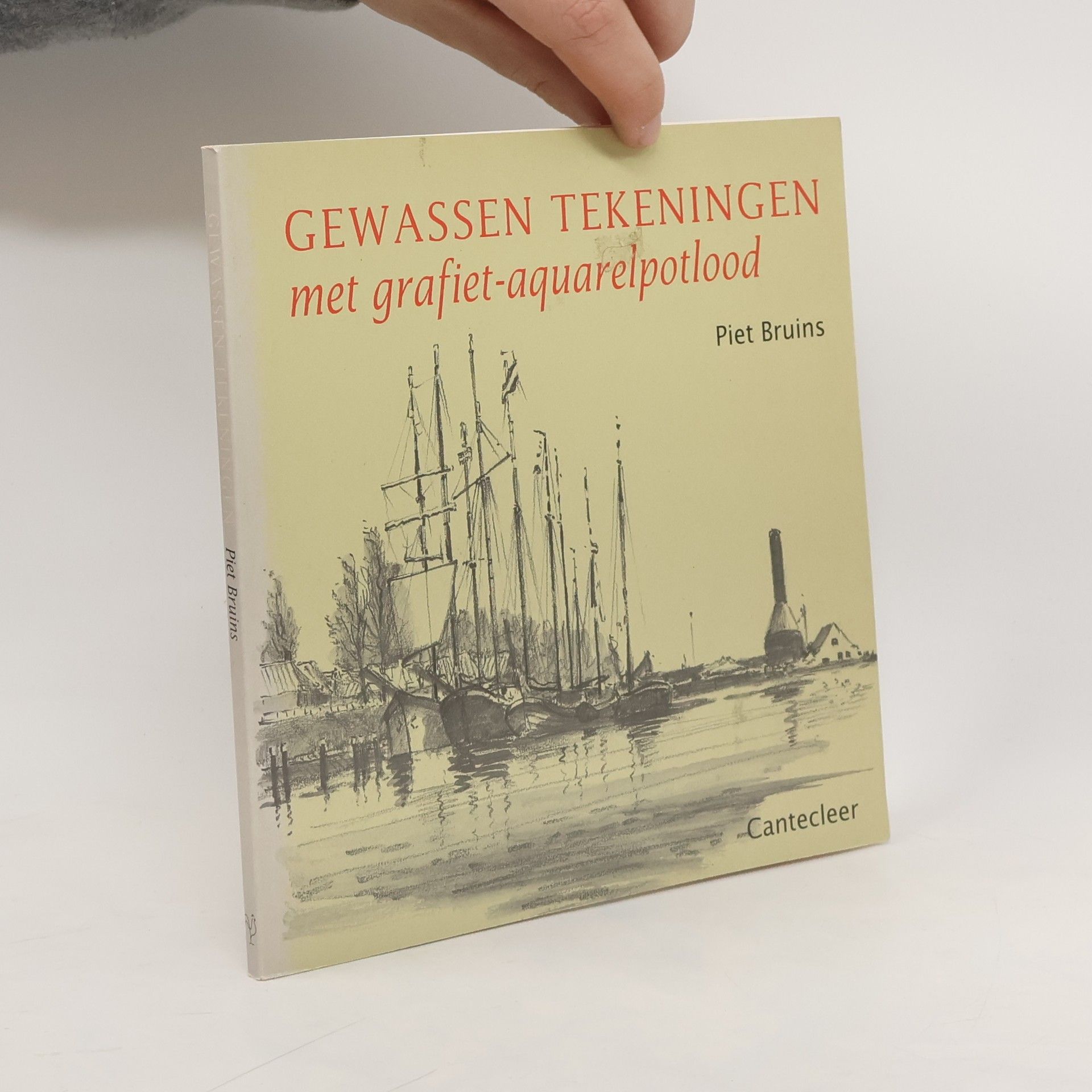 Piet Bruins Gewassen tekeningen