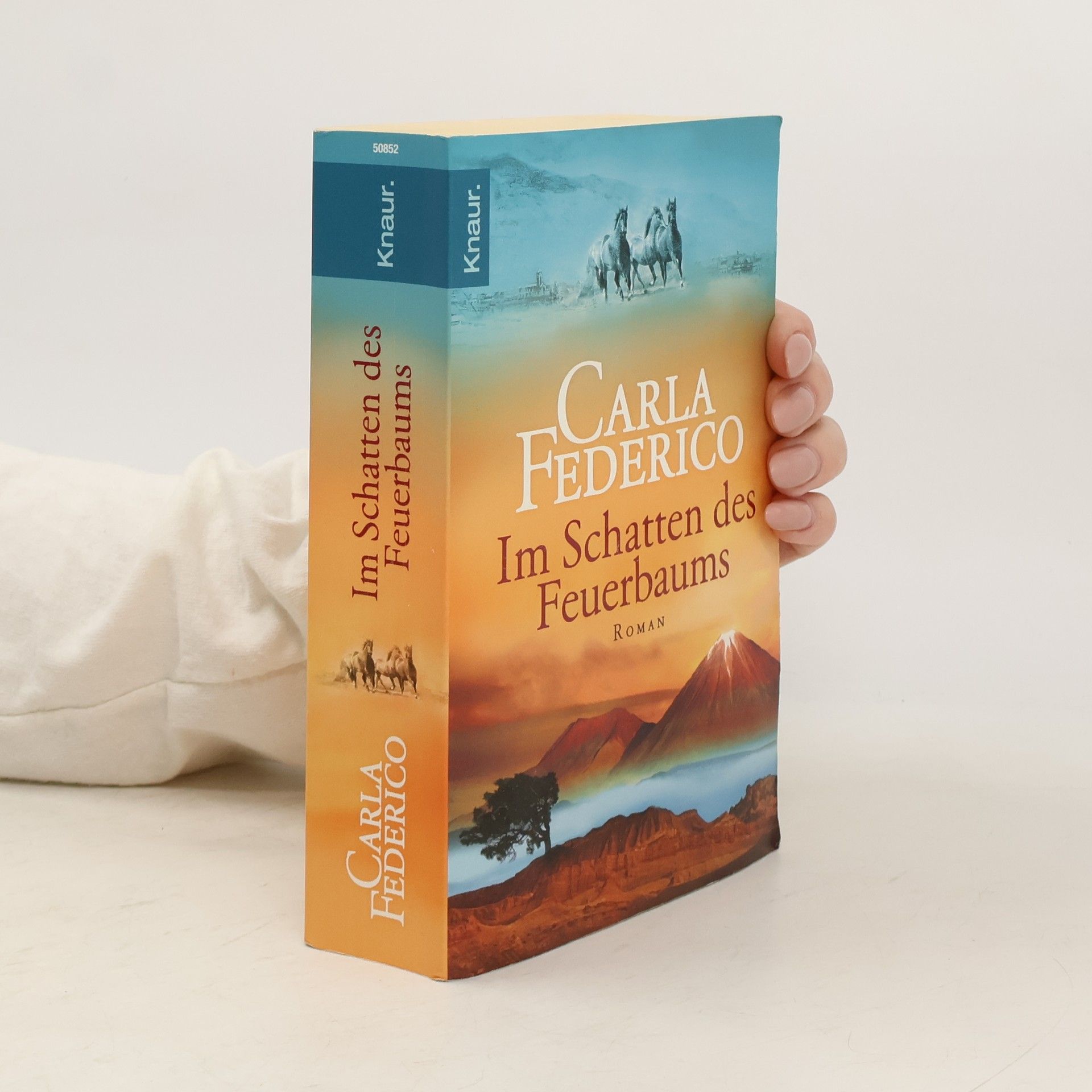 Im Schatten des Feuerbaums