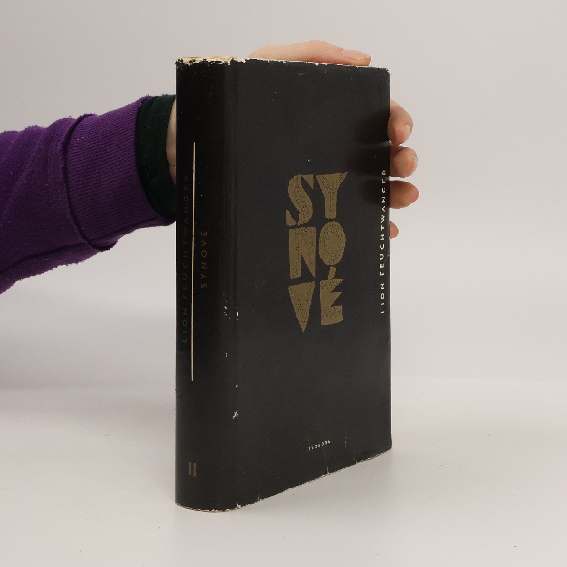 Lion Feuchtwanger Synové