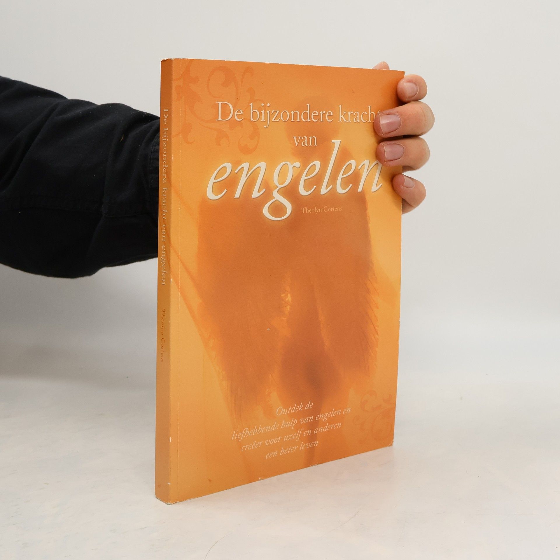 Theolyn Cortens De bijzondere kracht van engelen