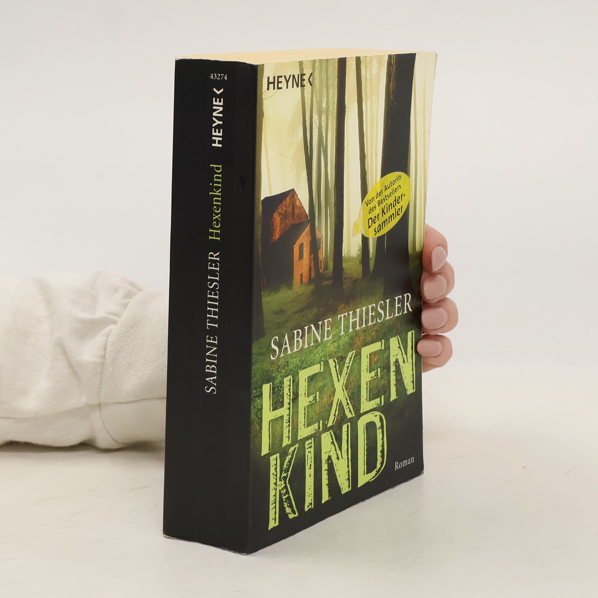 Sabine Thiesler Hexenkind - Roman