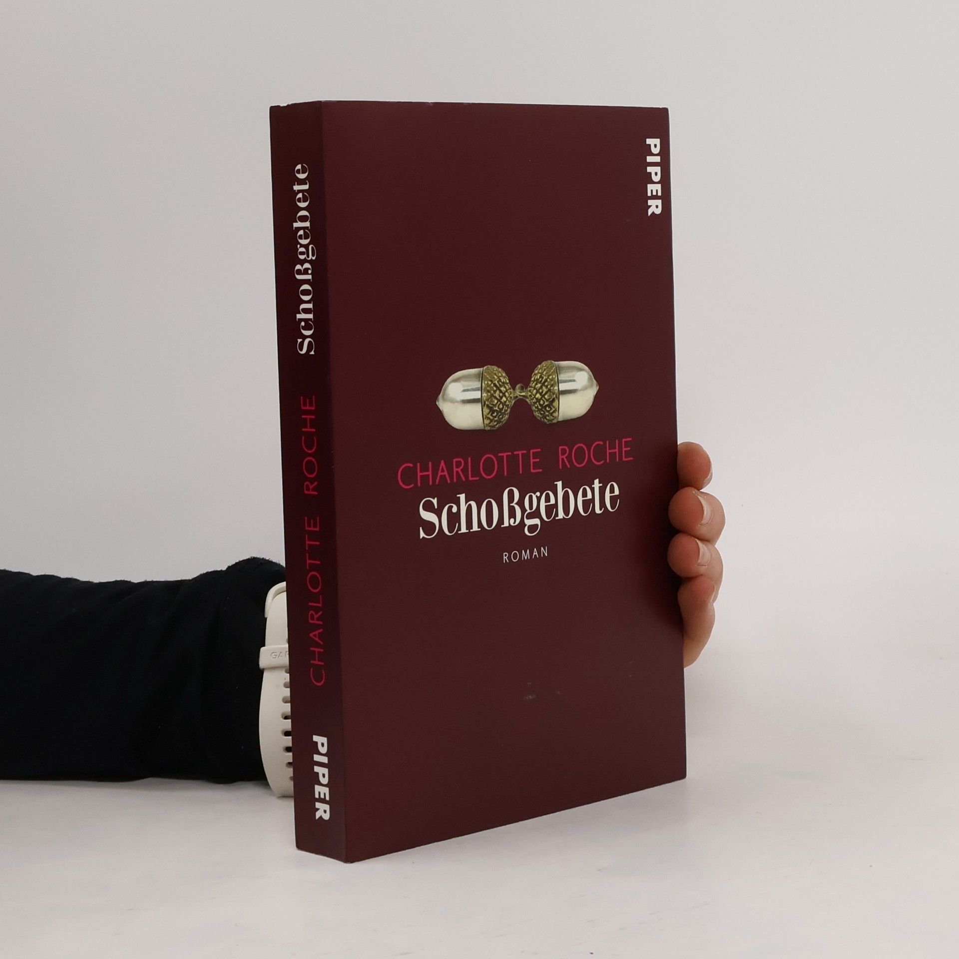 Charlotte Roche Schoßgebete