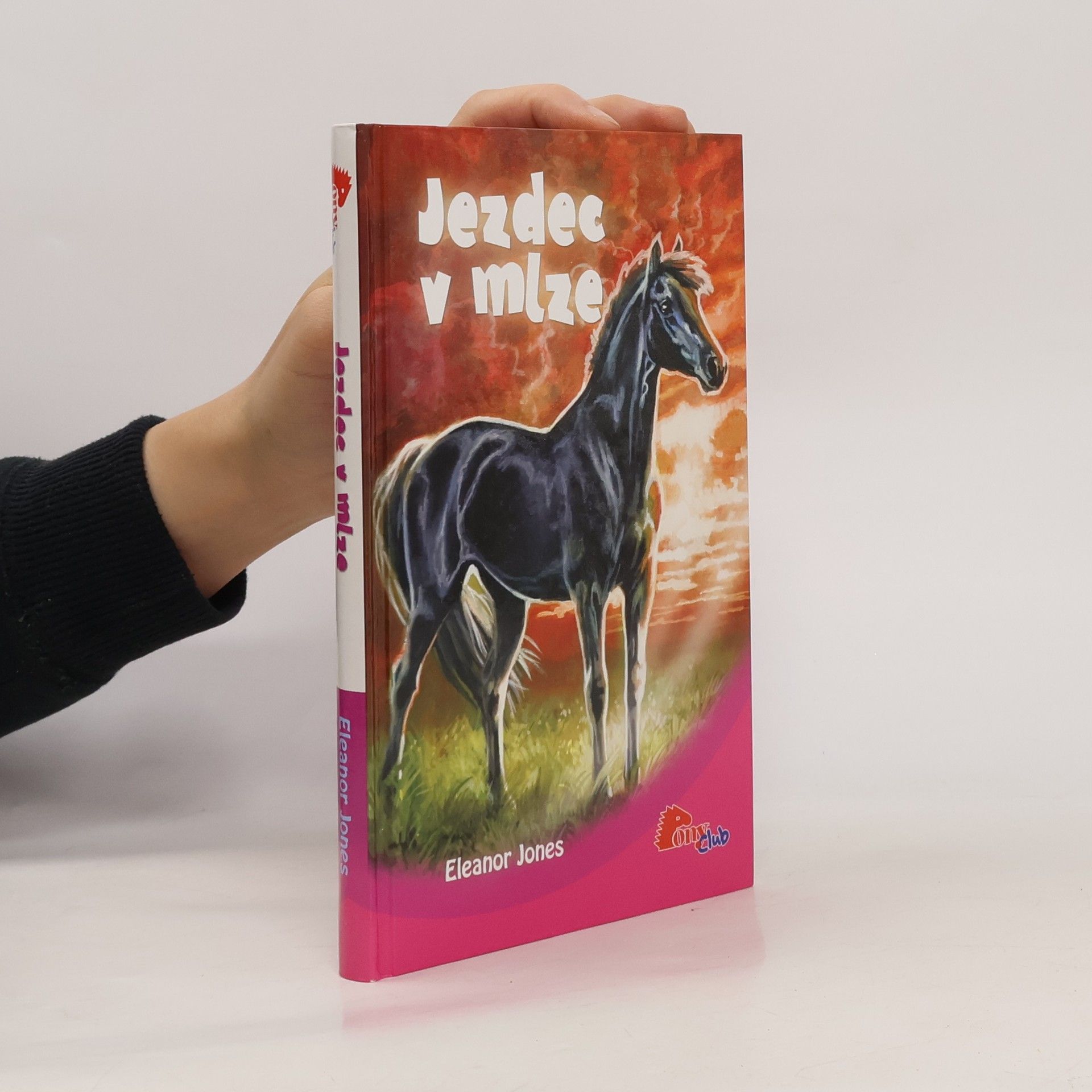 Eleanor Jones Jezdec v mlze