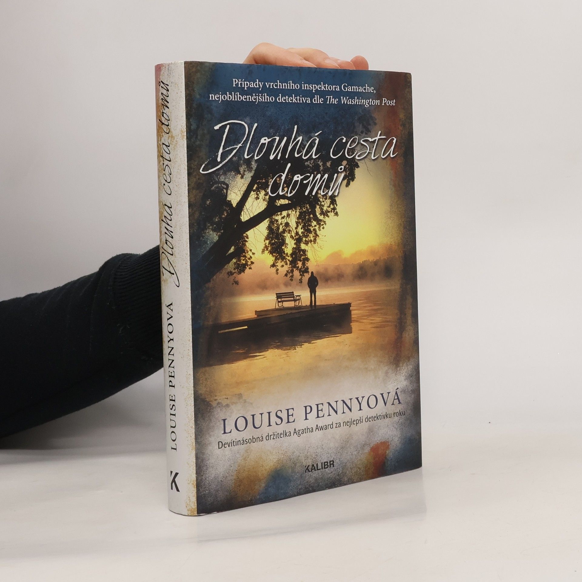 Louise Penny Dlouhá cesta domů