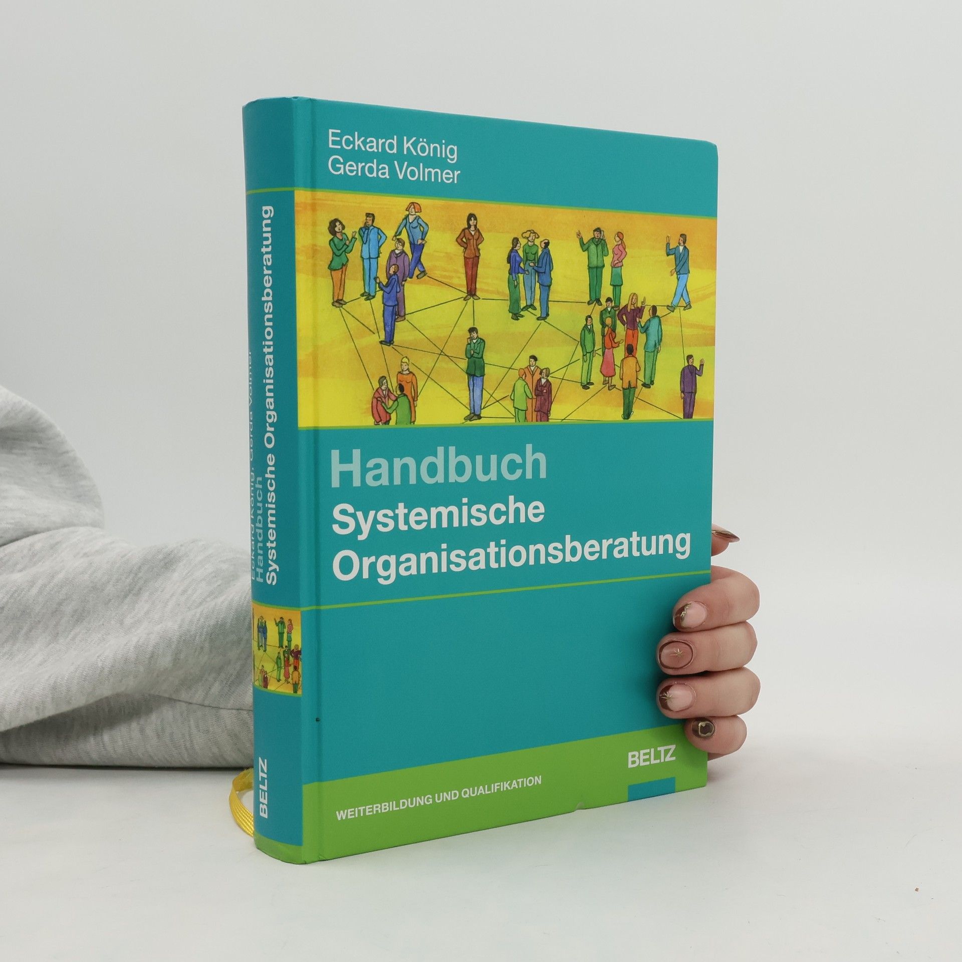 Handbuch systemische Organisationsberatung