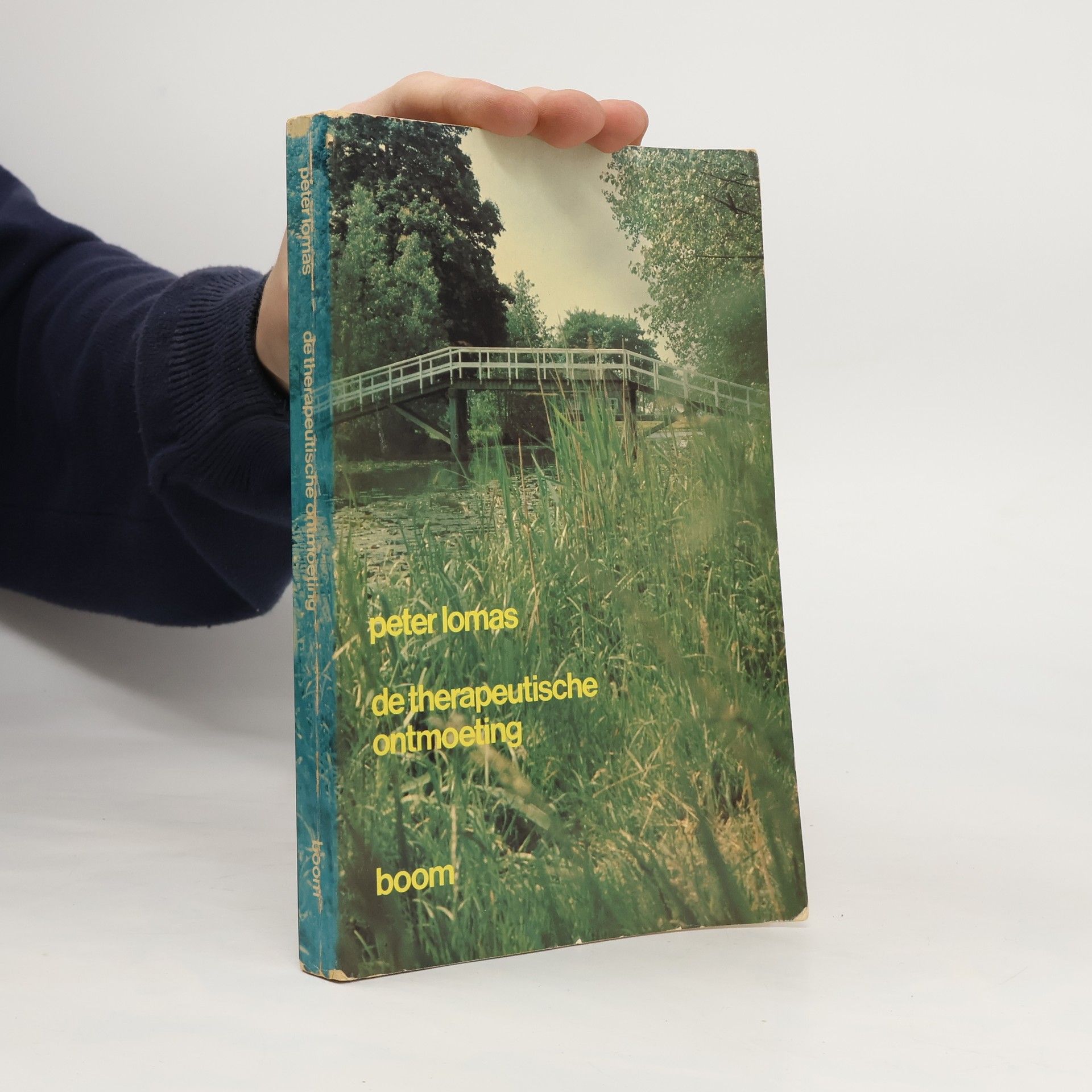 Peter Lomas De therapeutische ontmoeting