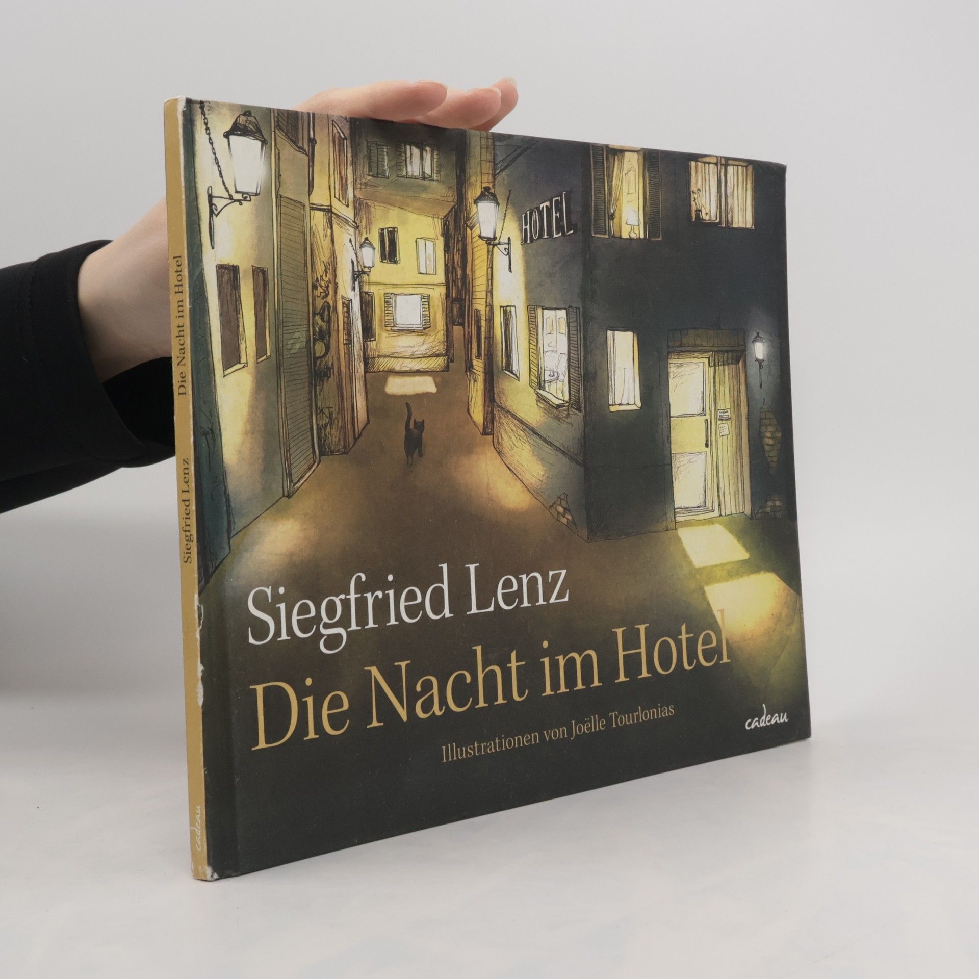 Siegfried Lenz Die Nacht im Hotel