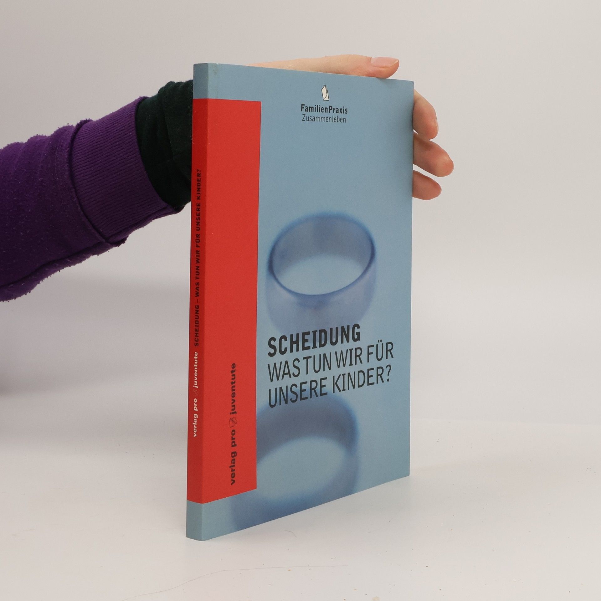 Peter Balscheit- von Sauberzweig Scheidung. was tun wir für unsere Kinder?