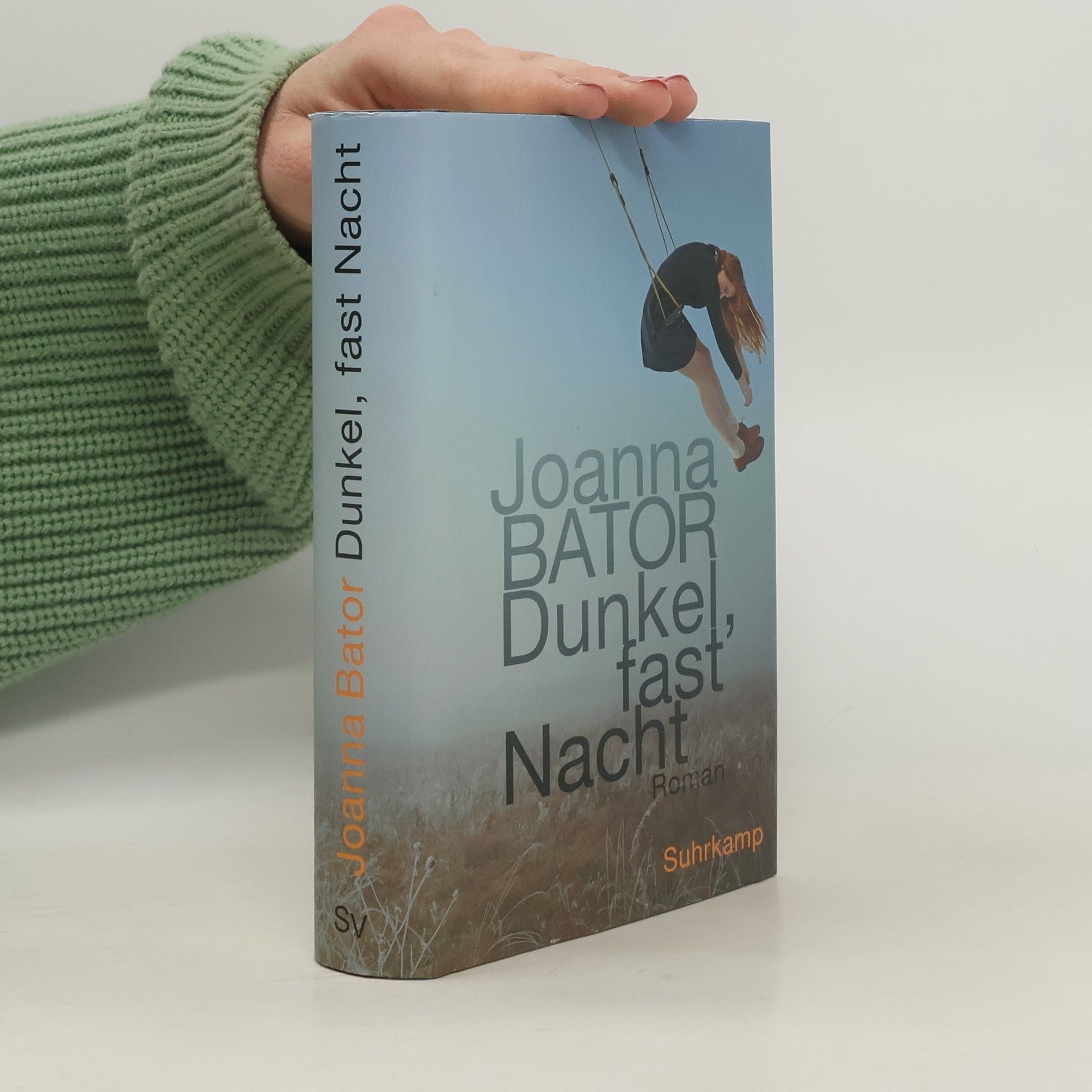 Joanna Bator Dunkel, fast Nacht