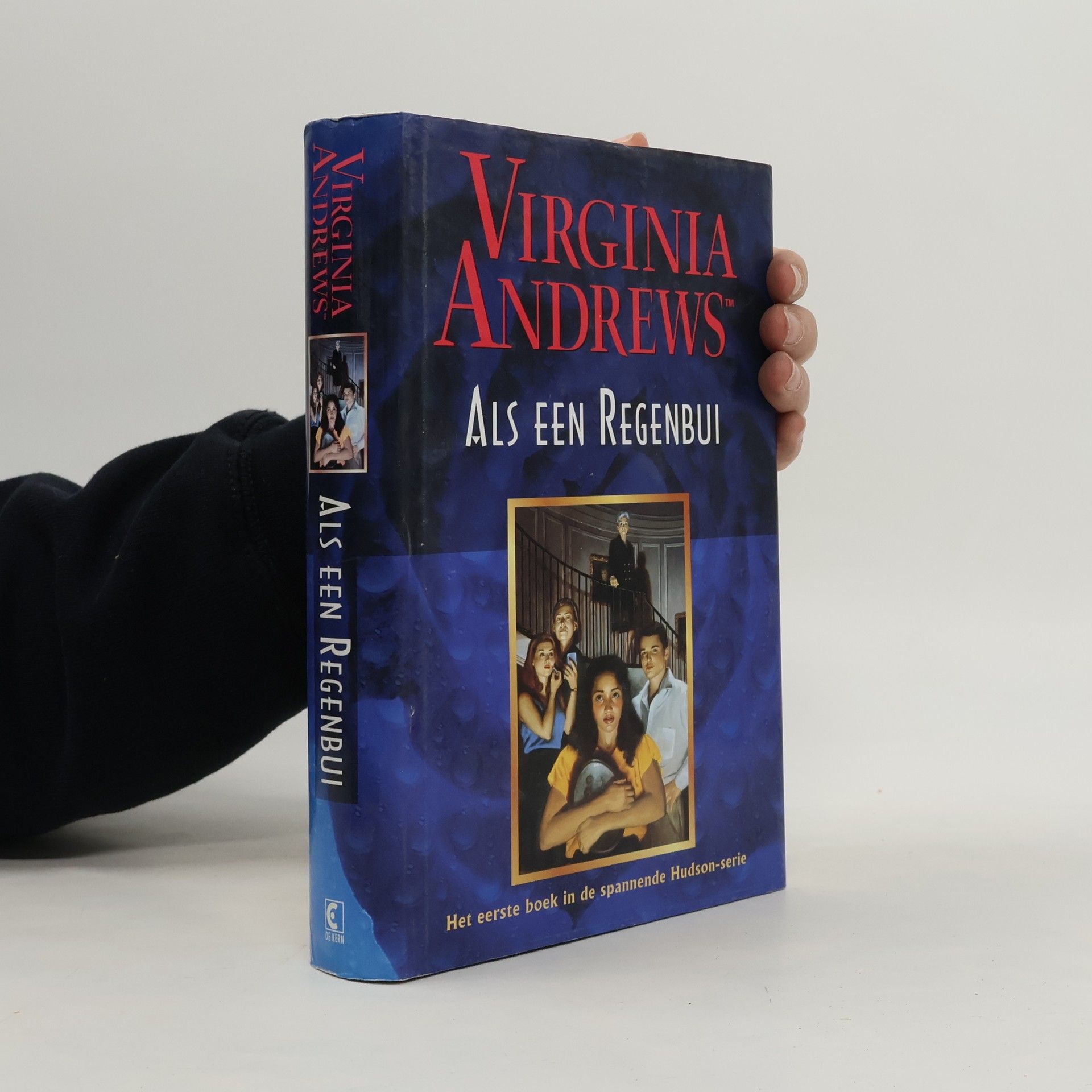 Parma van Loon Als een regenbui