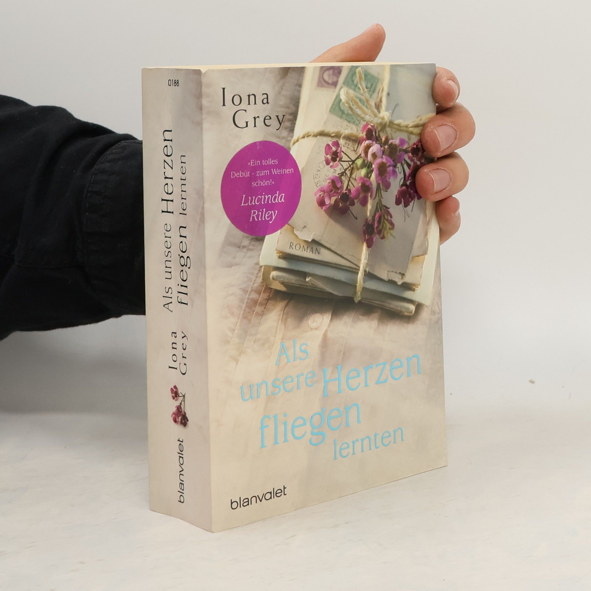 Iona Grey Als unsere Herzen fliegen lernten