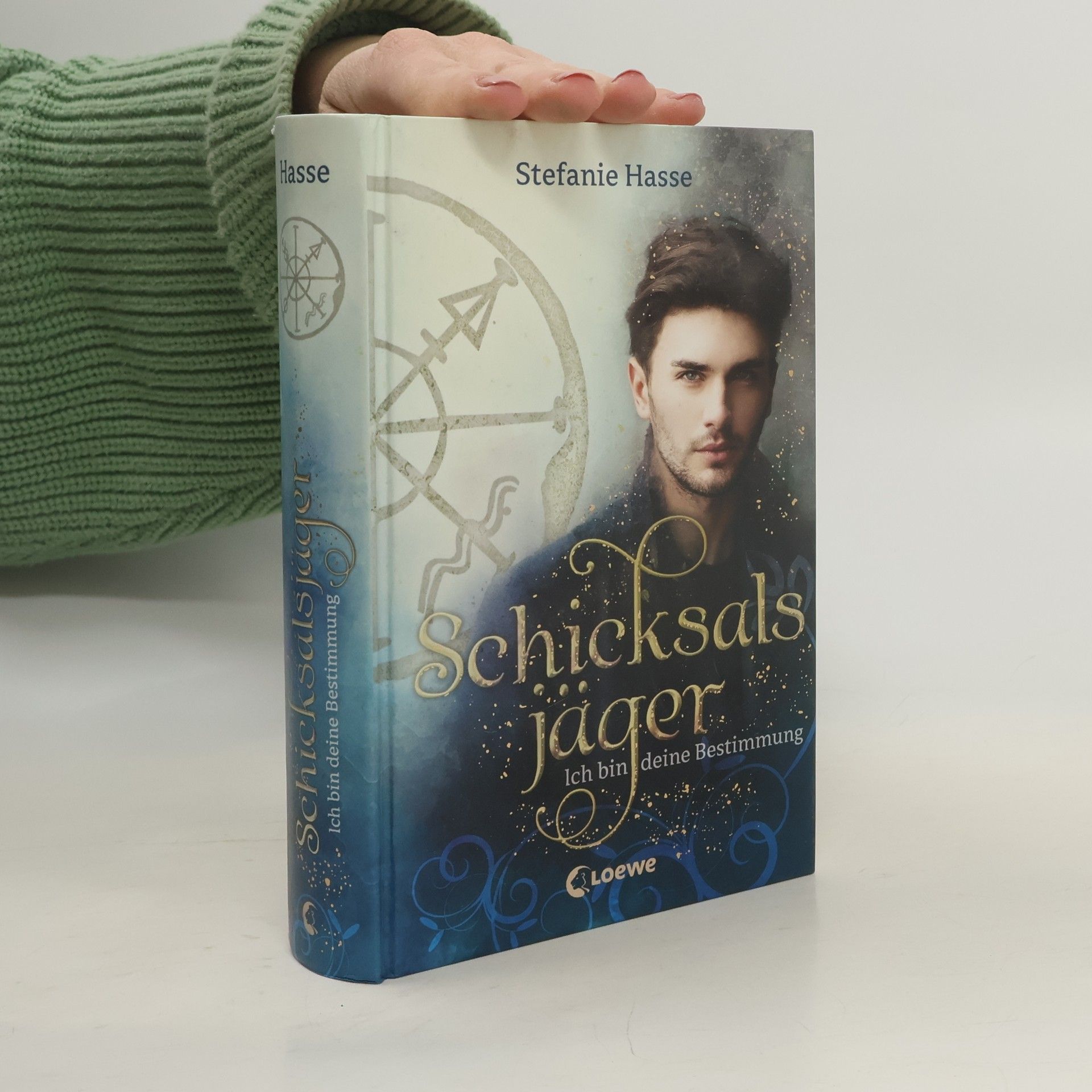 Stefanie Hasse Schicksalsjäger - ich bin deine Bestimmung