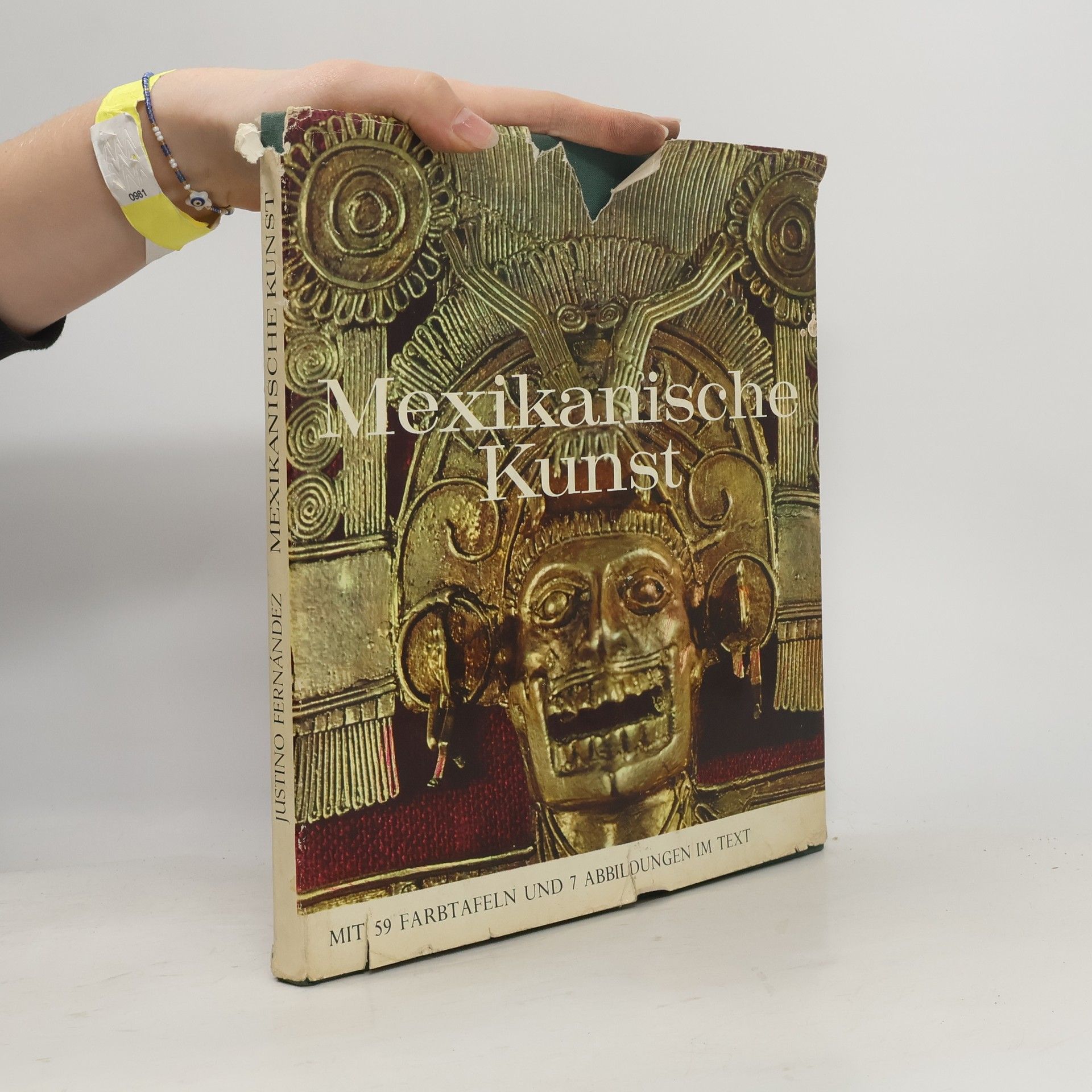 Auteurscollectief Mexikanische Kunst