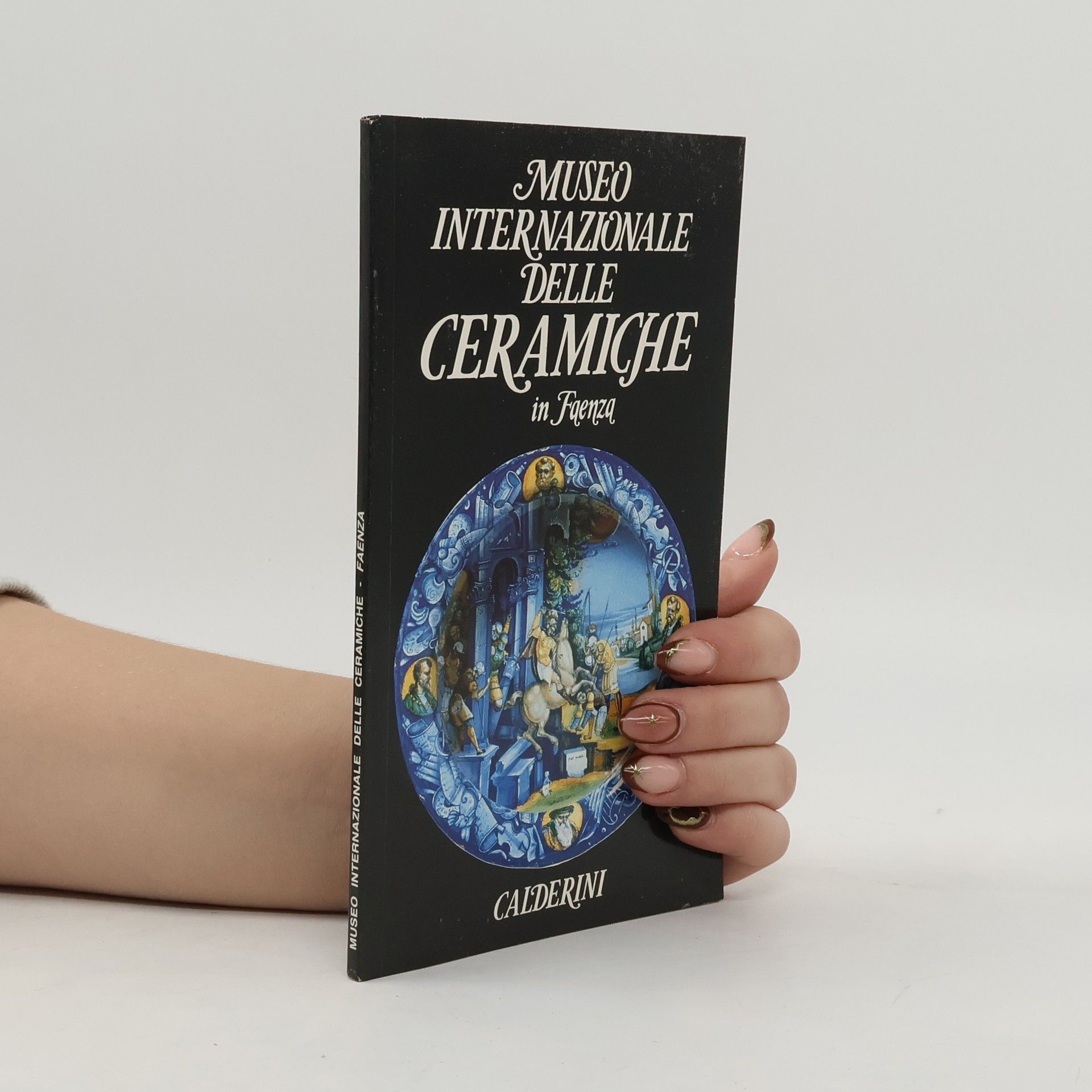 Gian Carlo Bojani Museo Internazionale delle Ceramiche in Faenza. Ediz. illustrata
