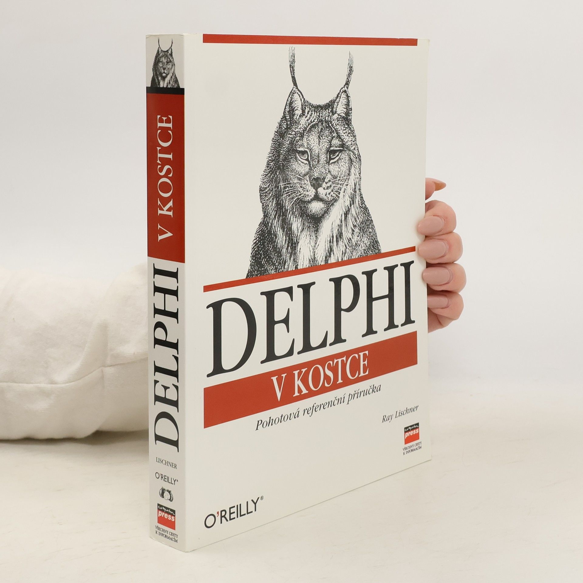 Ray Lischner Delphi v kostce: Pohotová referenční příručka