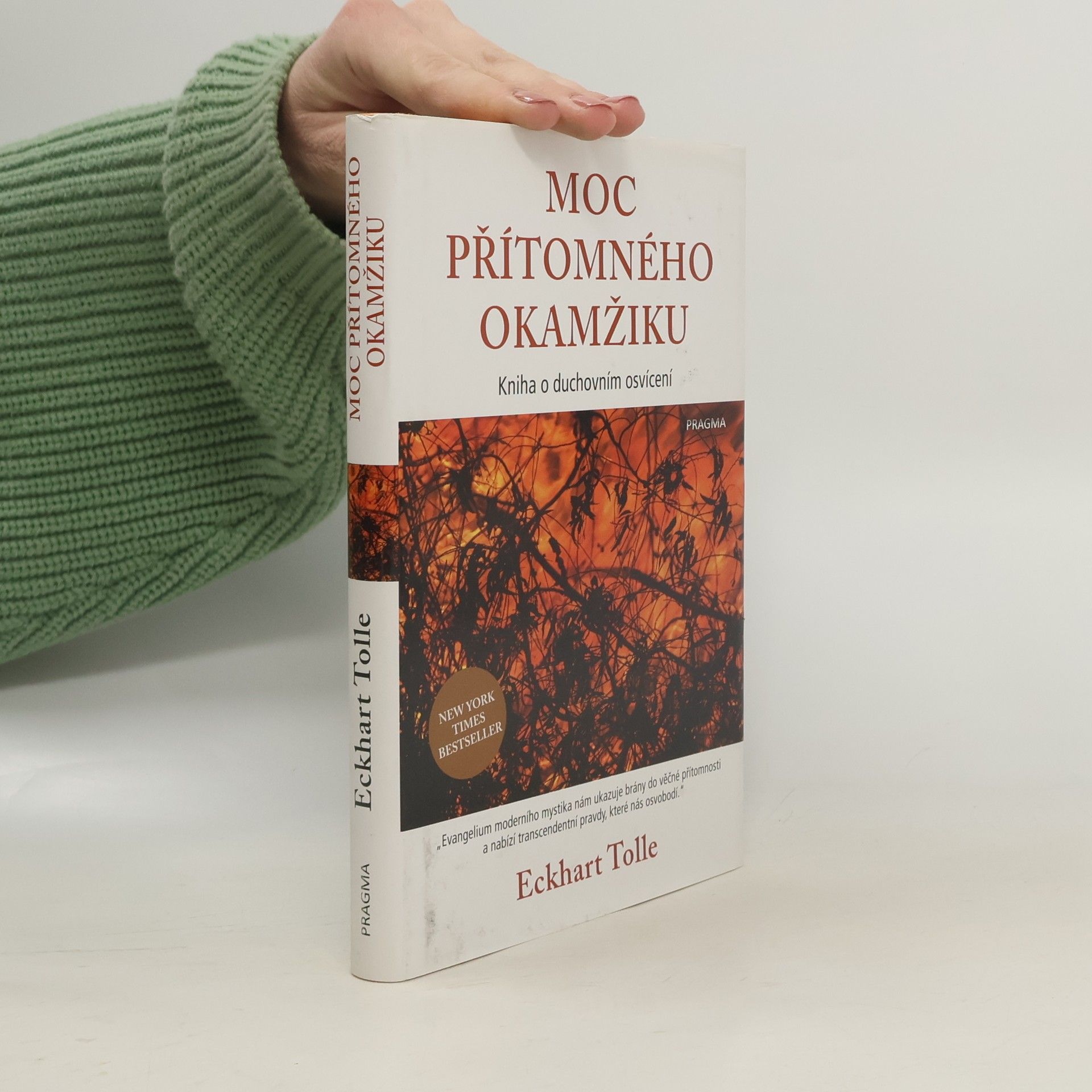 Eckhart Tolle Moc přítomného okamžiku
