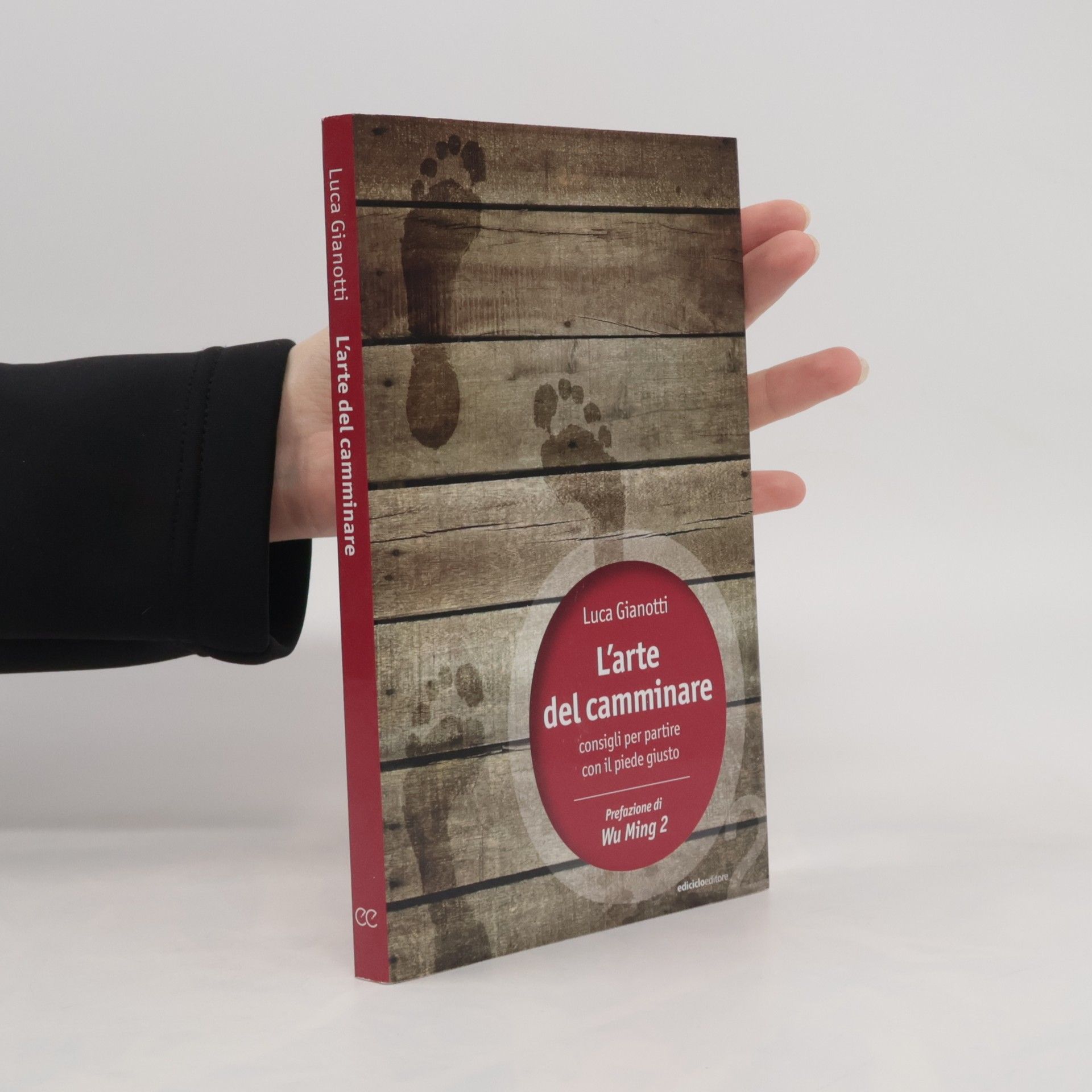 Luca Gianotti L'arte del camminare. Consigli per partire con il piede giusto