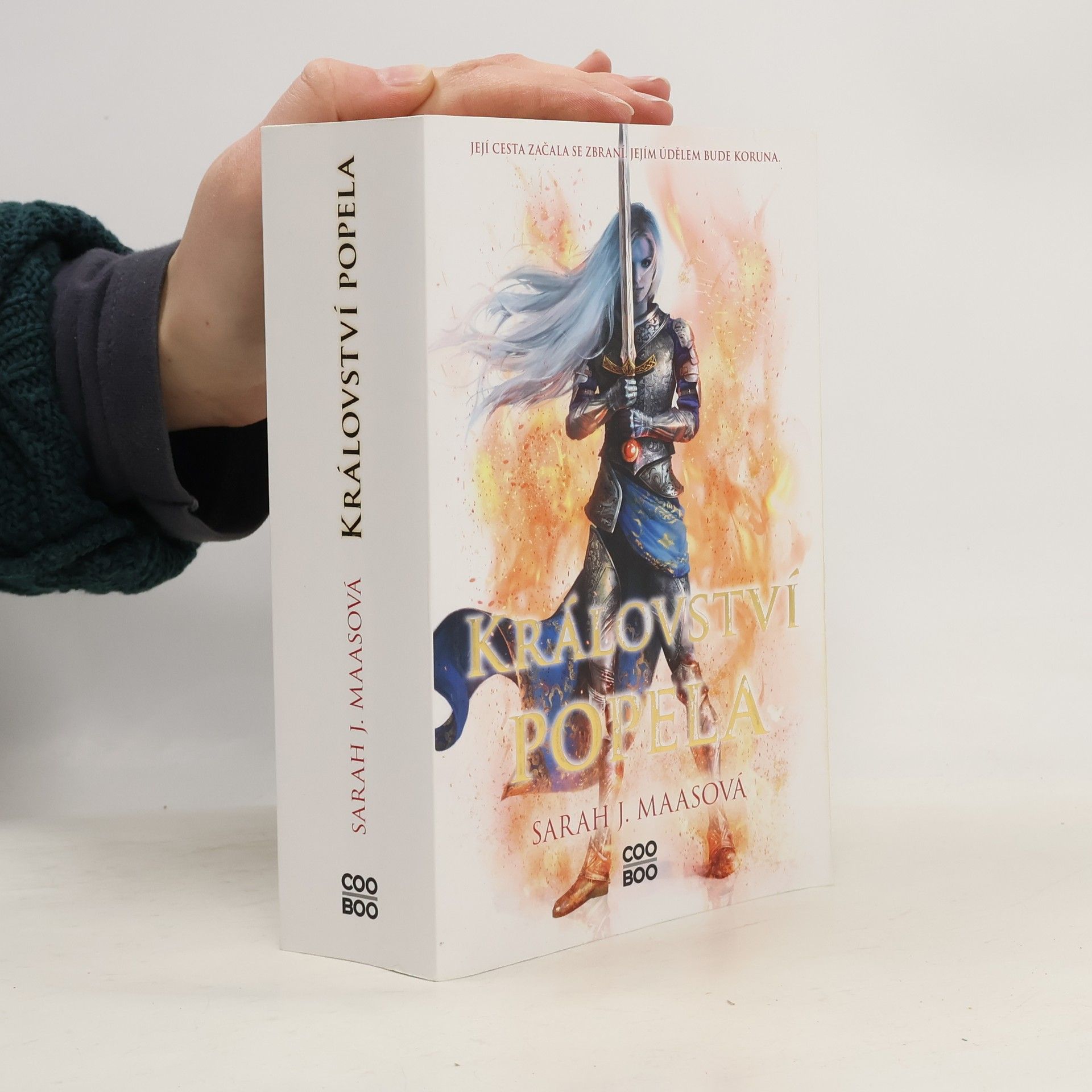Sarah J. Maas Království popela