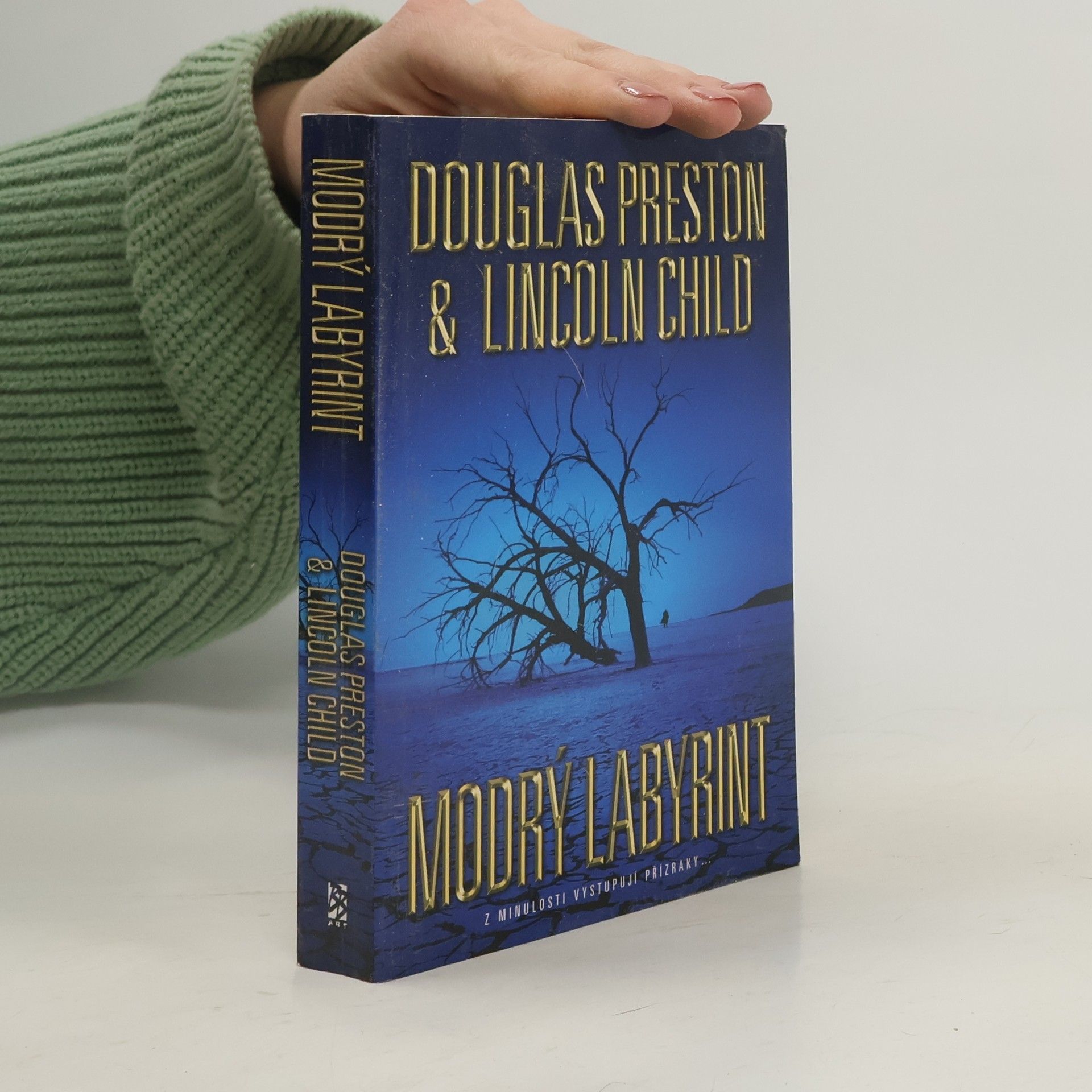 Douglas Preston Modrý labyrint