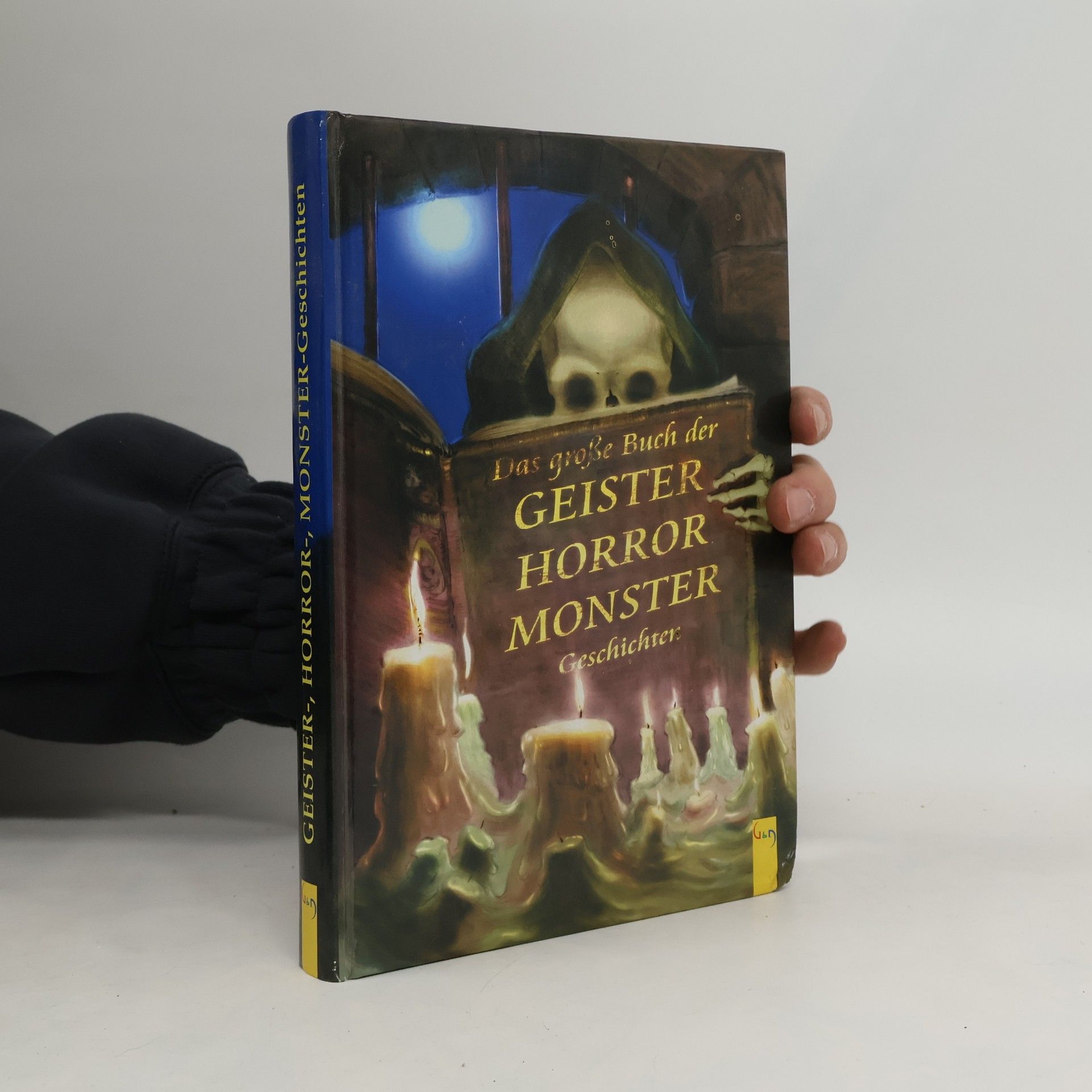 Das grosse Buch der Geister-, Horror-, Monster-Geschichten