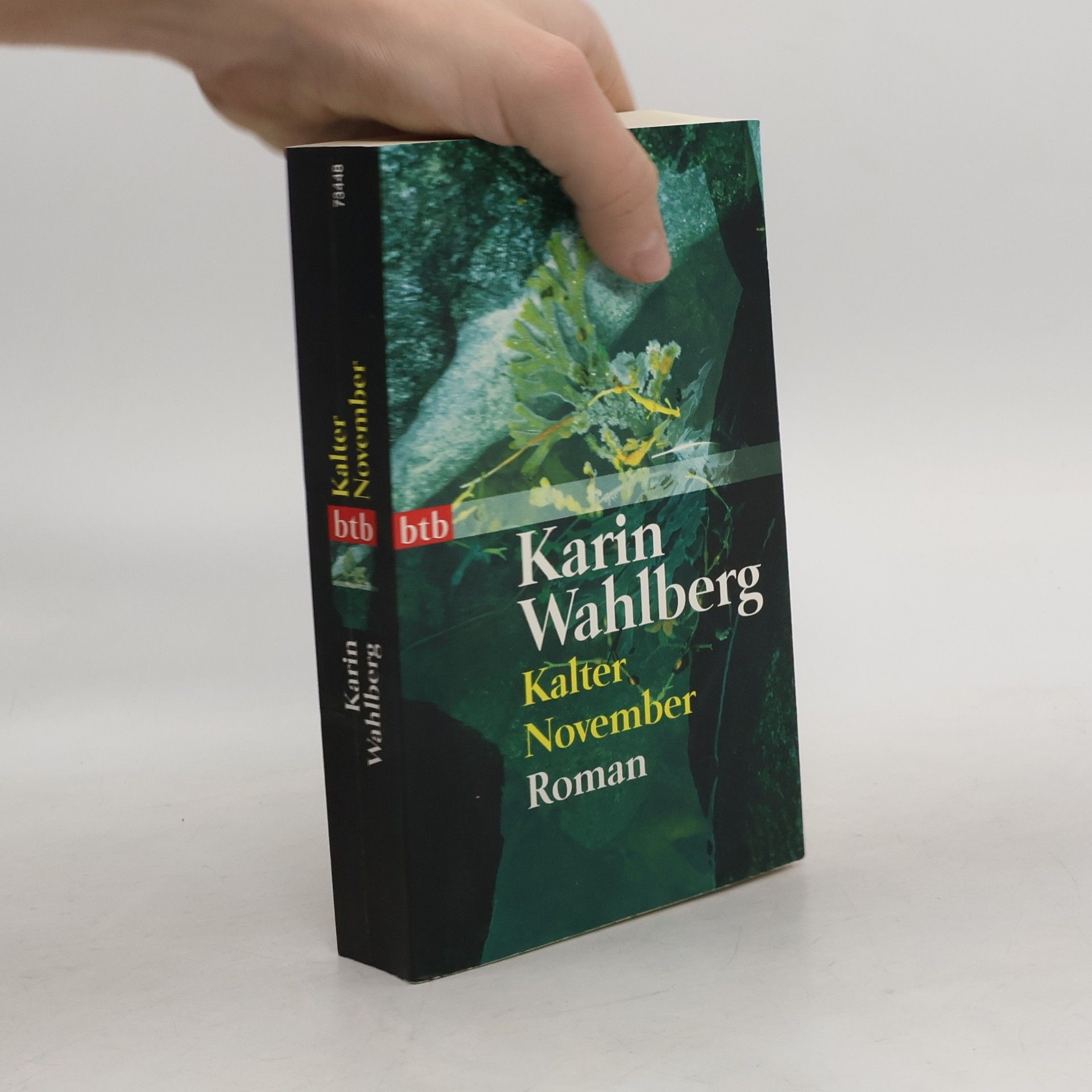 Karin Wahlberg Kalter November. Roman