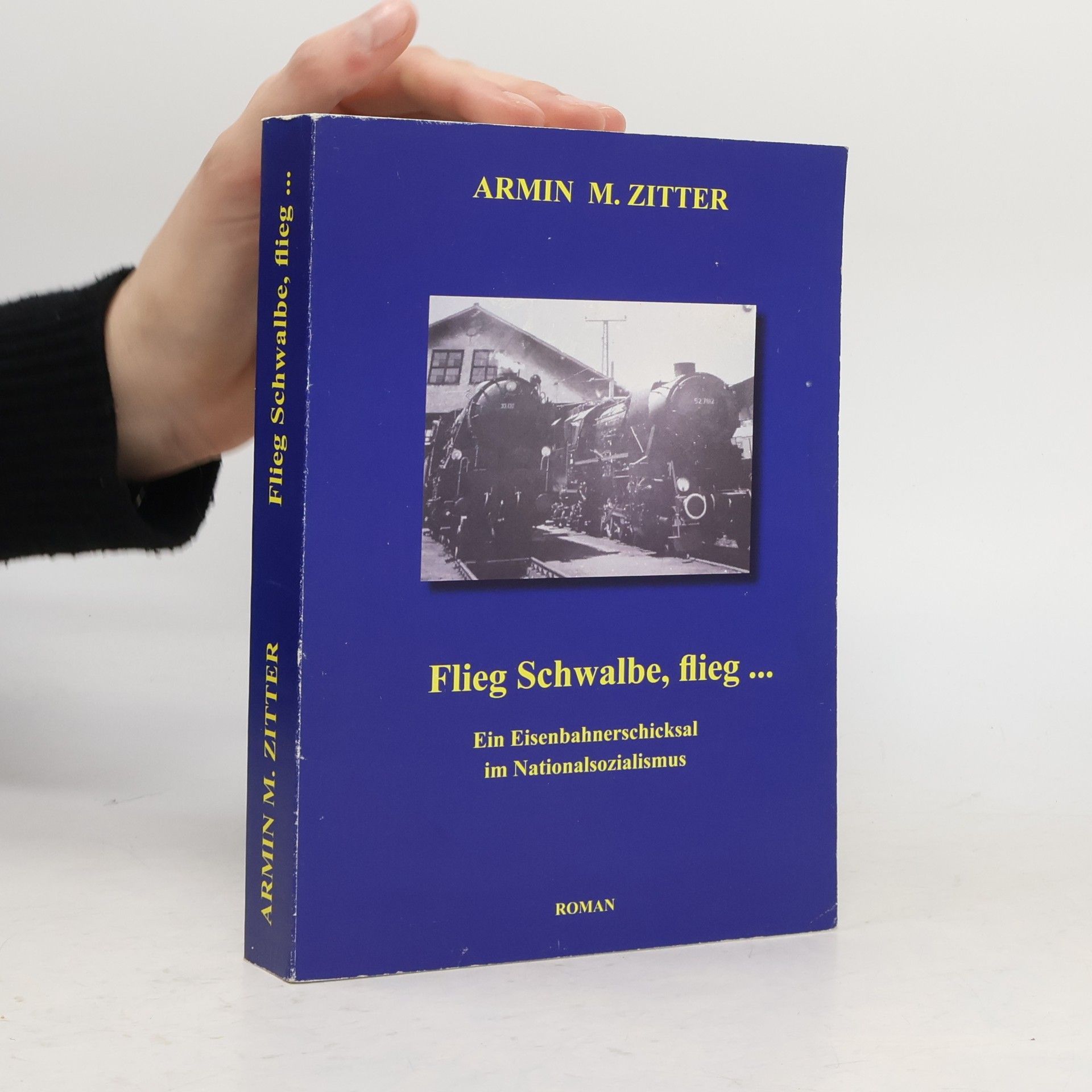 Armin Maximilian Zitter Flieg Schwalbe, flieg...