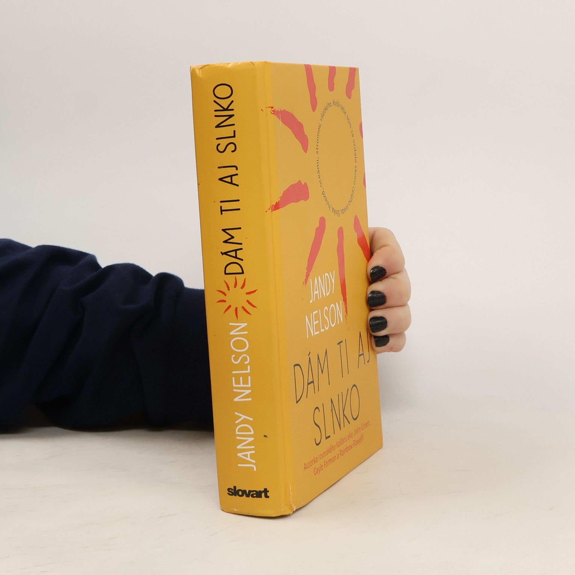 Jandy Nelson Dám ti aj slnko