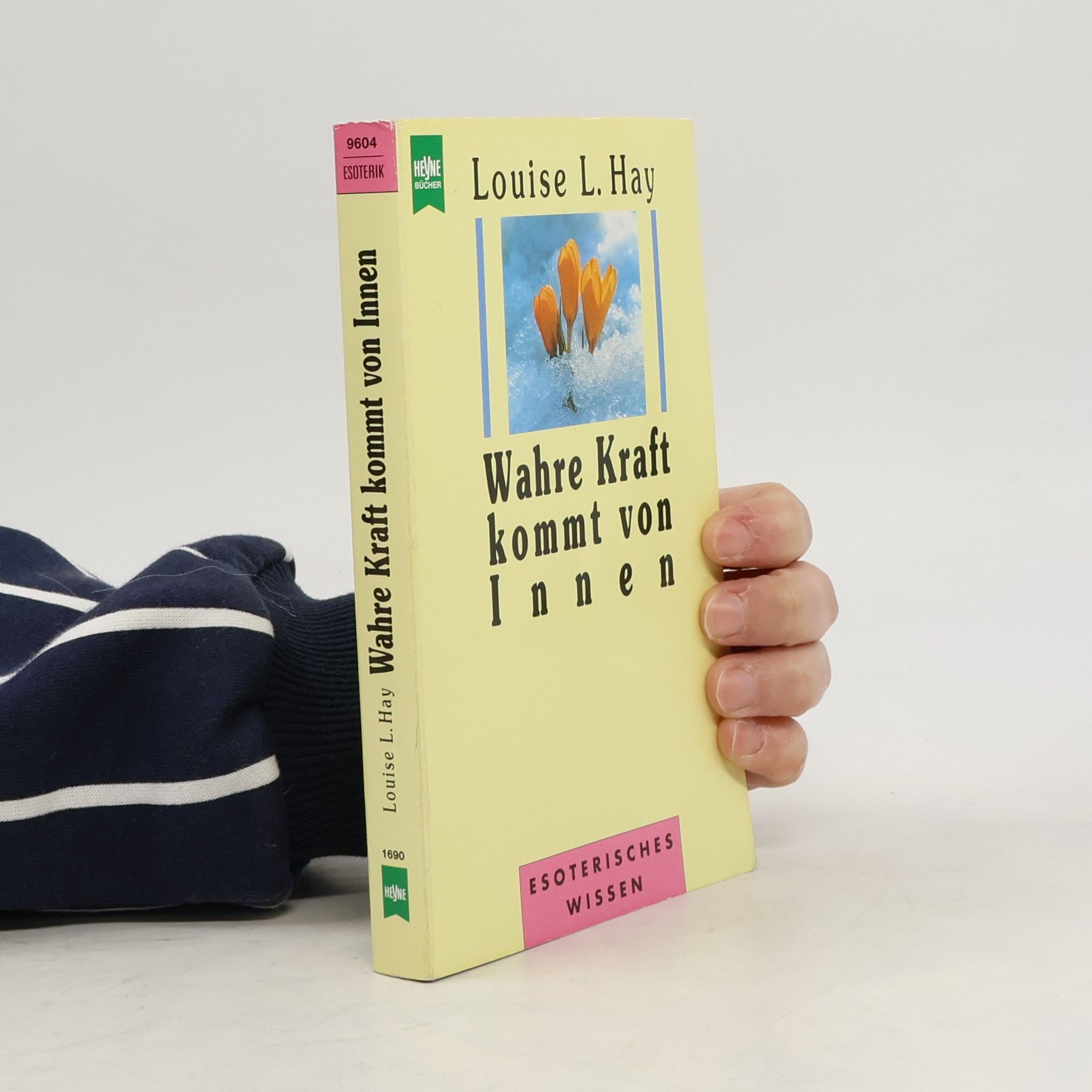 Louise Lynn Hay Wahre Kraft kommt von Innen