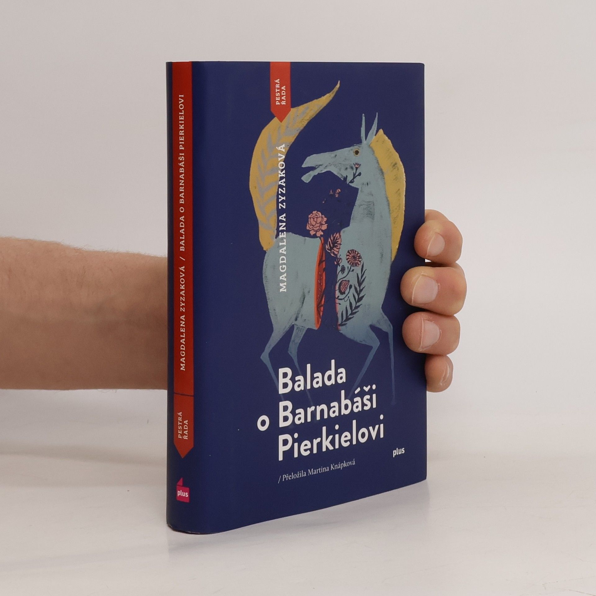 Magdalena Zyzak Balada o Barnabáši Pierkielovi