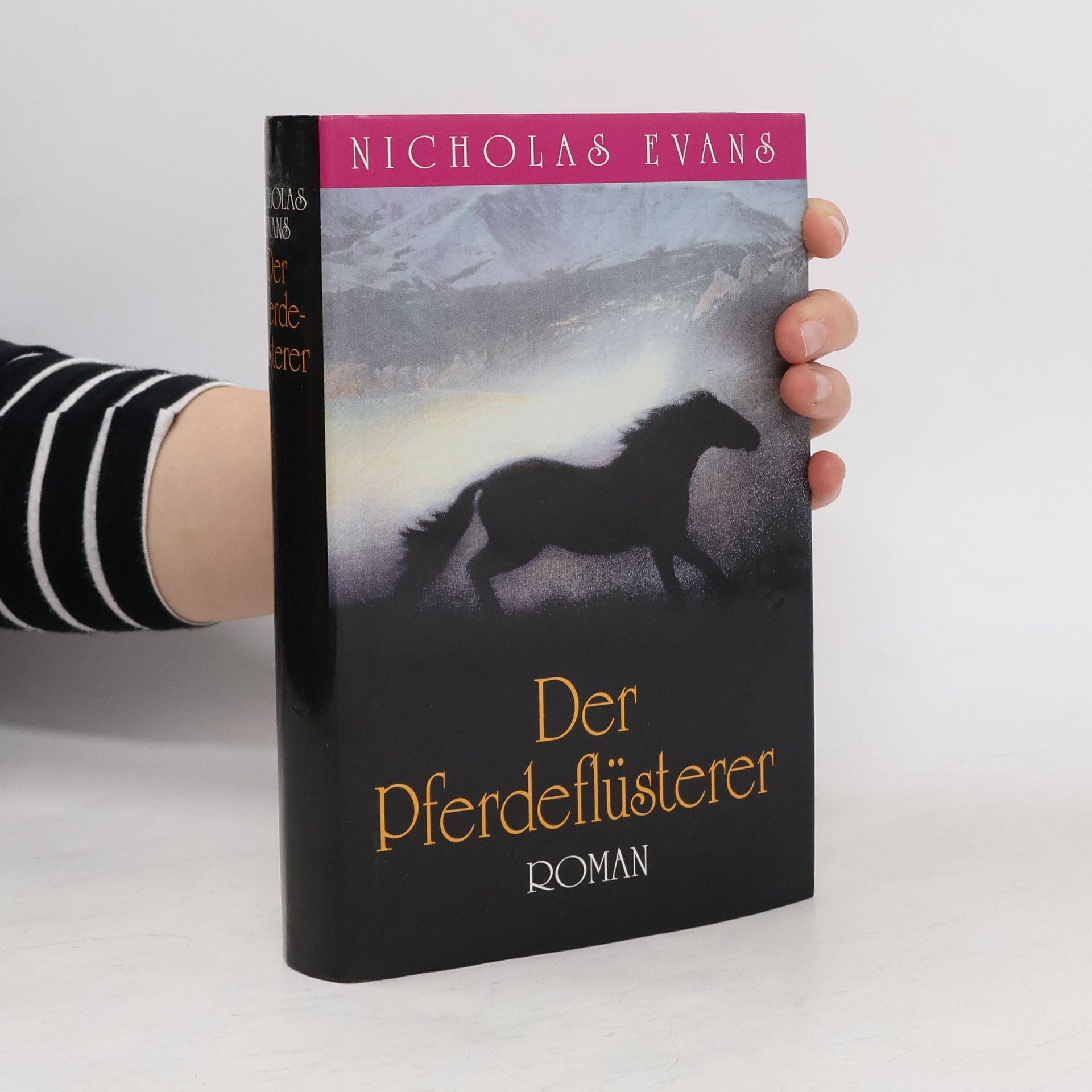 Nicholas Evans Der Pferdeflüsterer