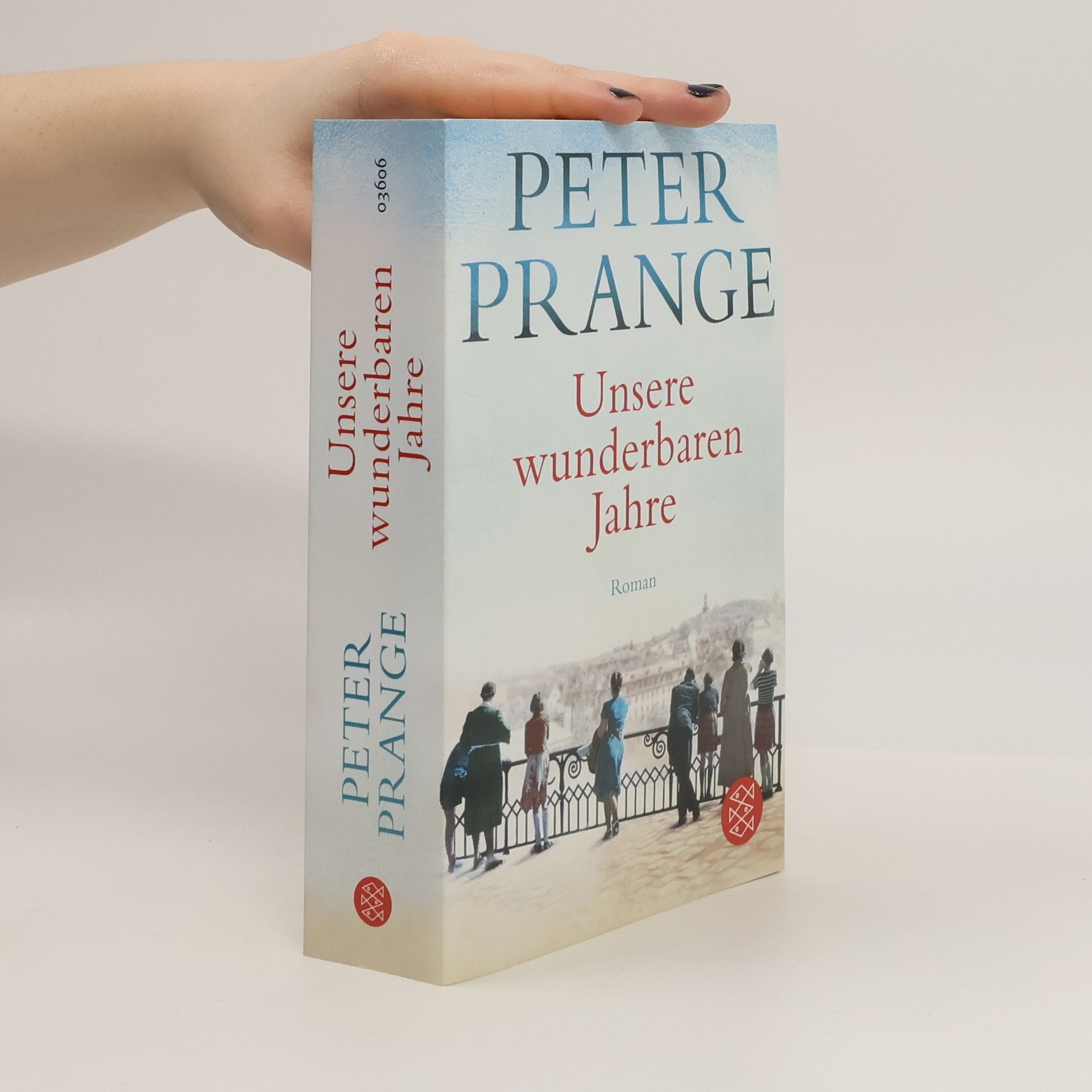 Peter Prange Unsere wunderbaren Jahre