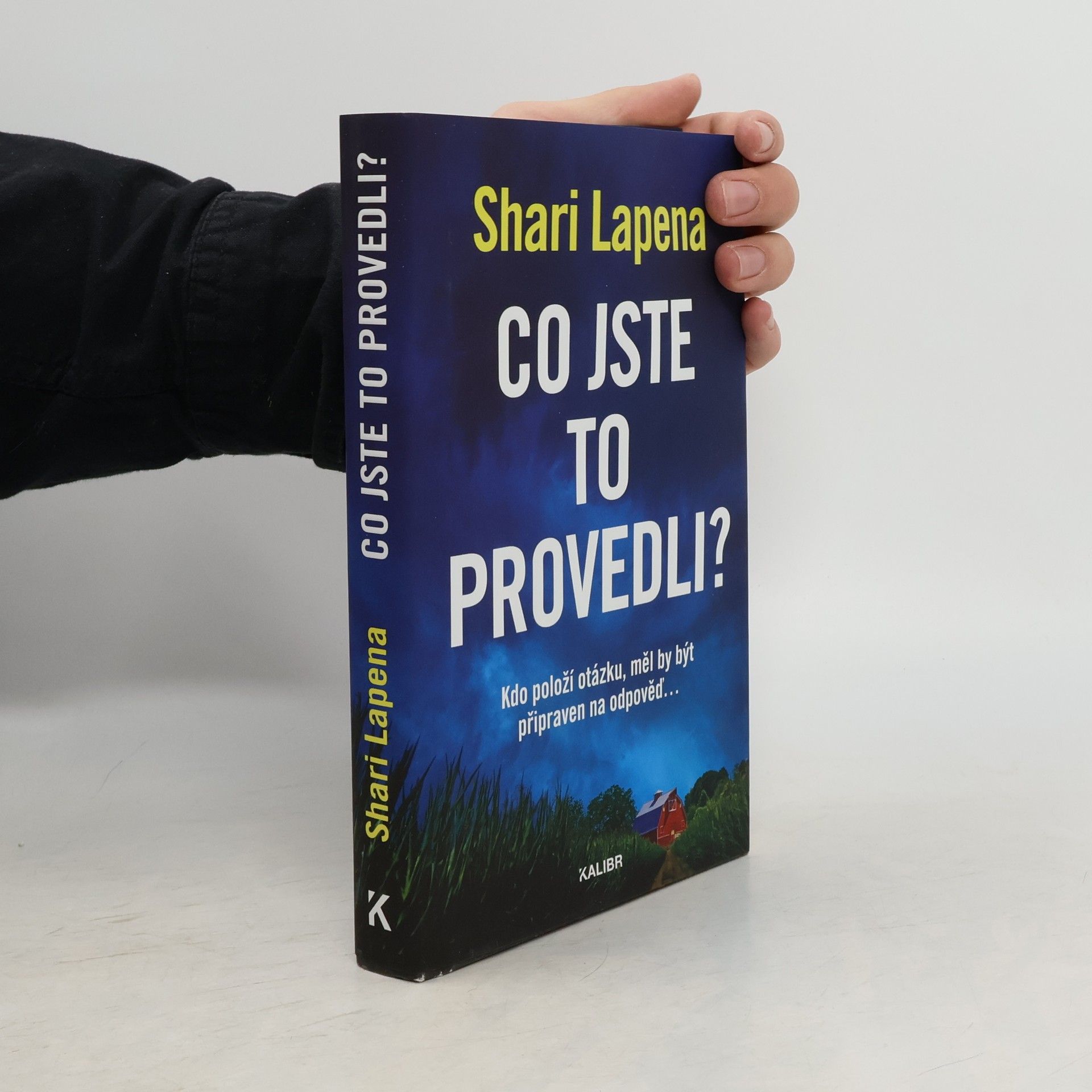 Shari Lapena Co jste to provedli?