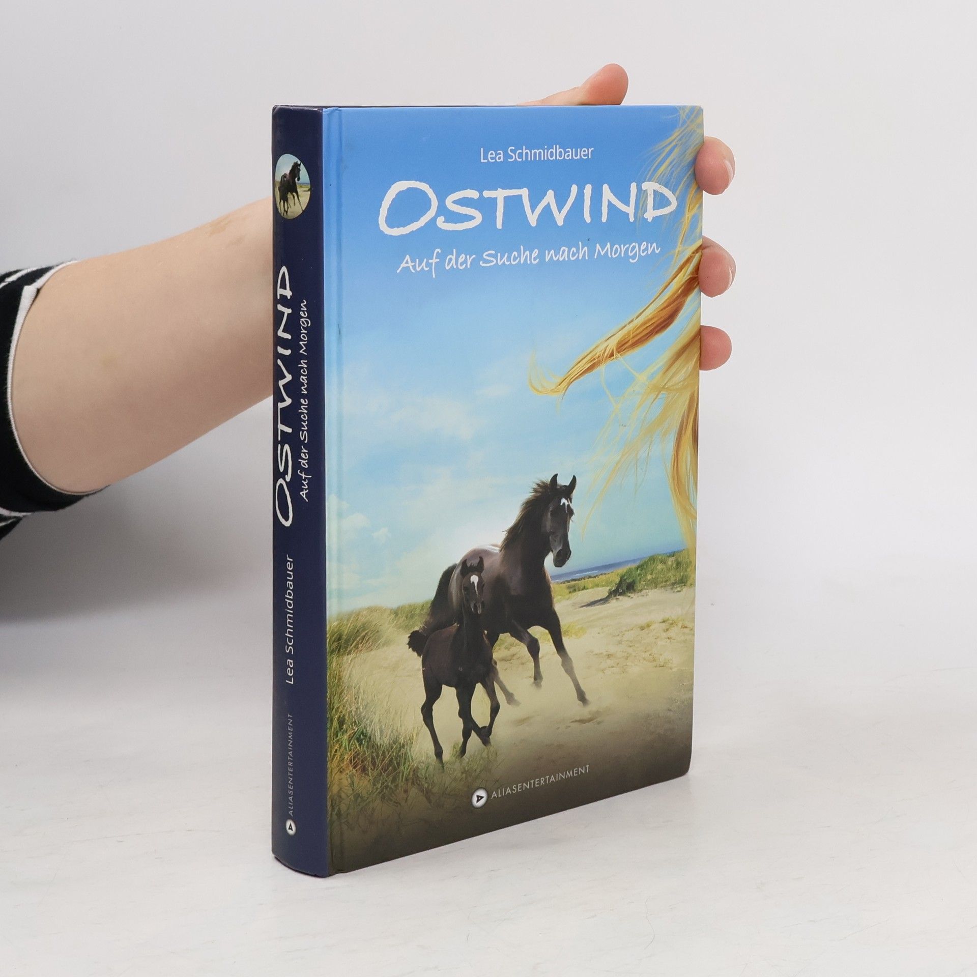 Lea Schmidbauer Ostwind - auf der Suche nach Morgen