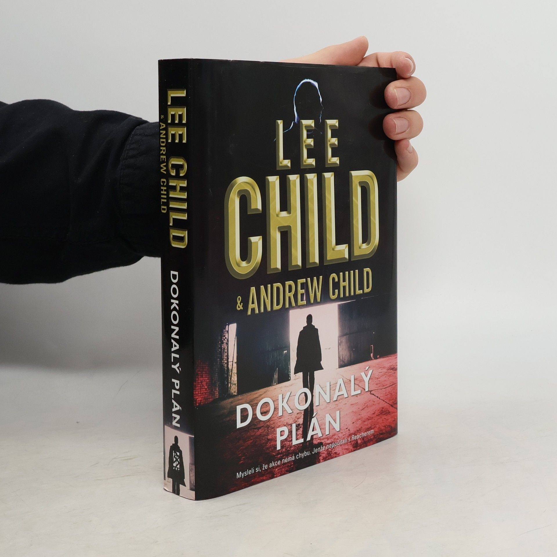 Lee Child Dokonalý plán