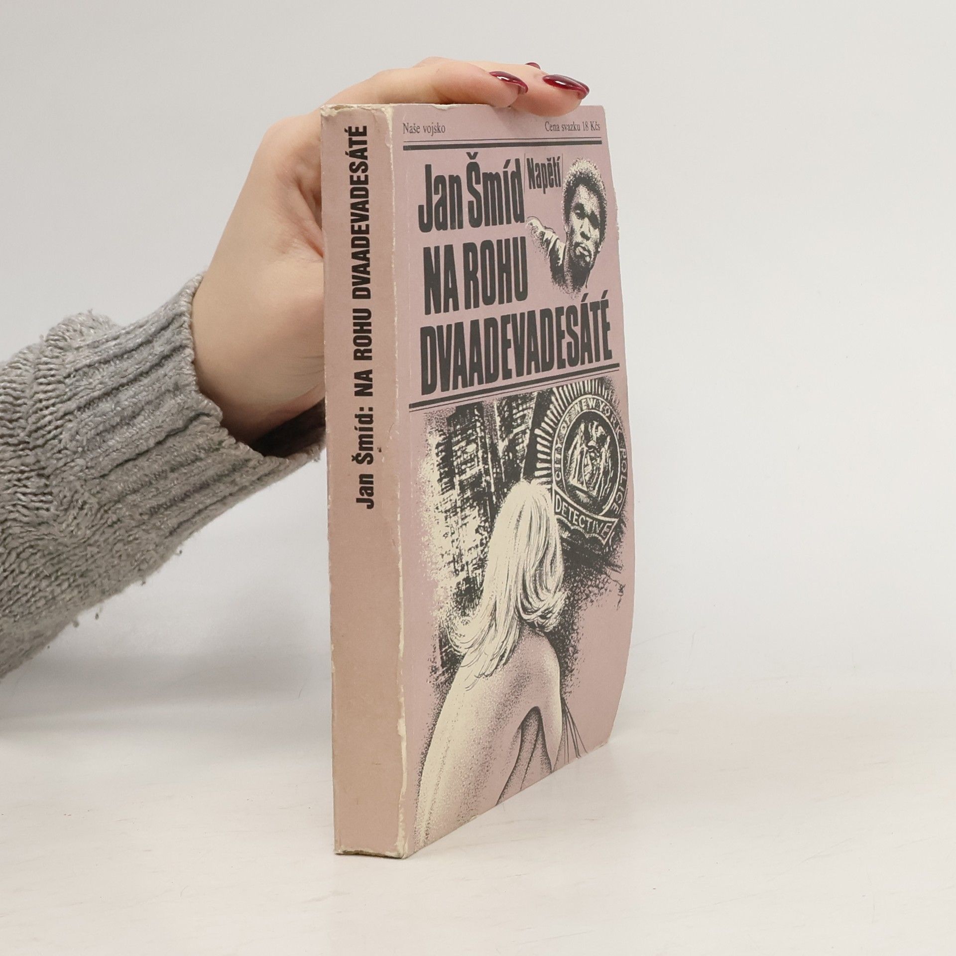 Jan Šmíd Na rohu dvaadevadesáté