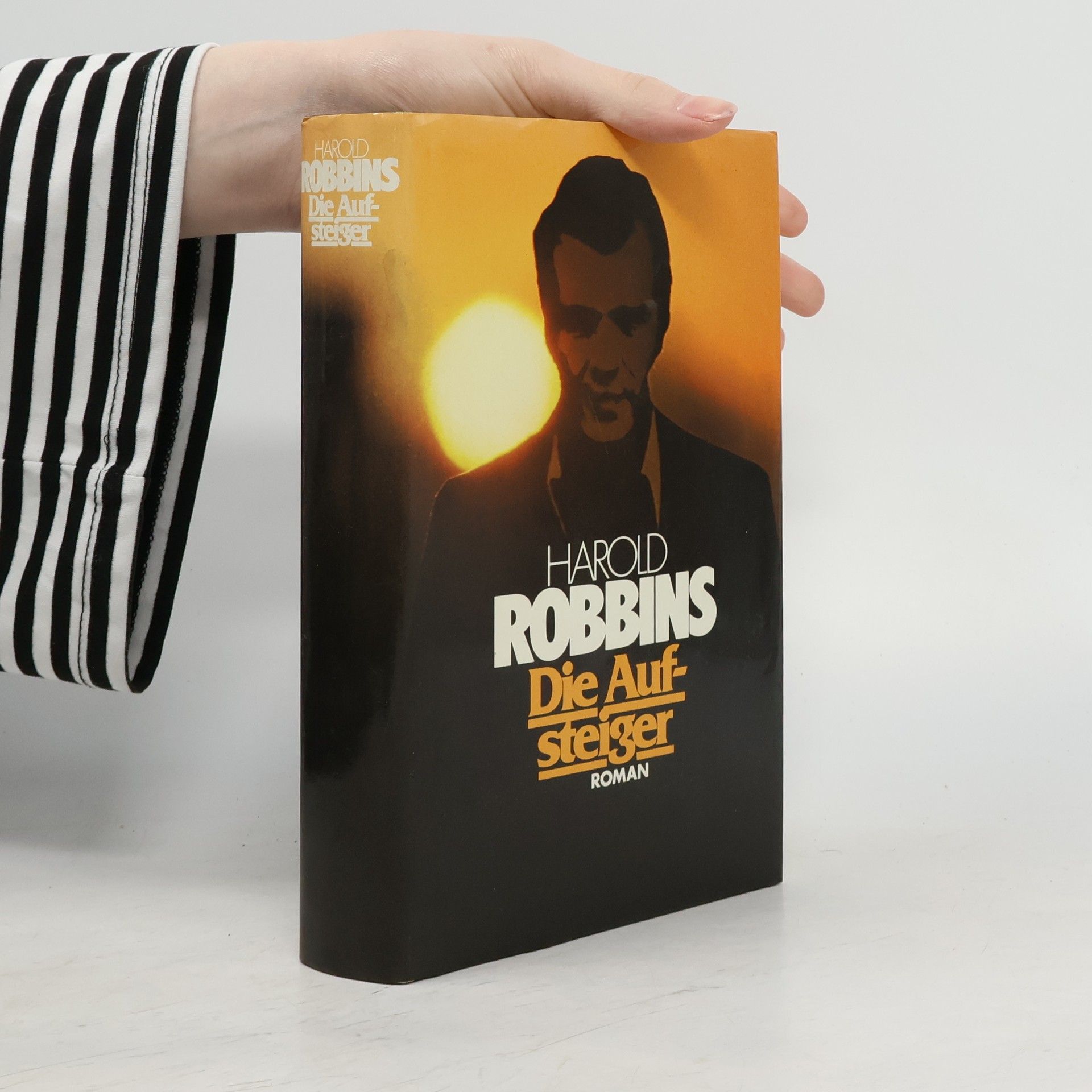 Harold Robbins Die Aufsteiger