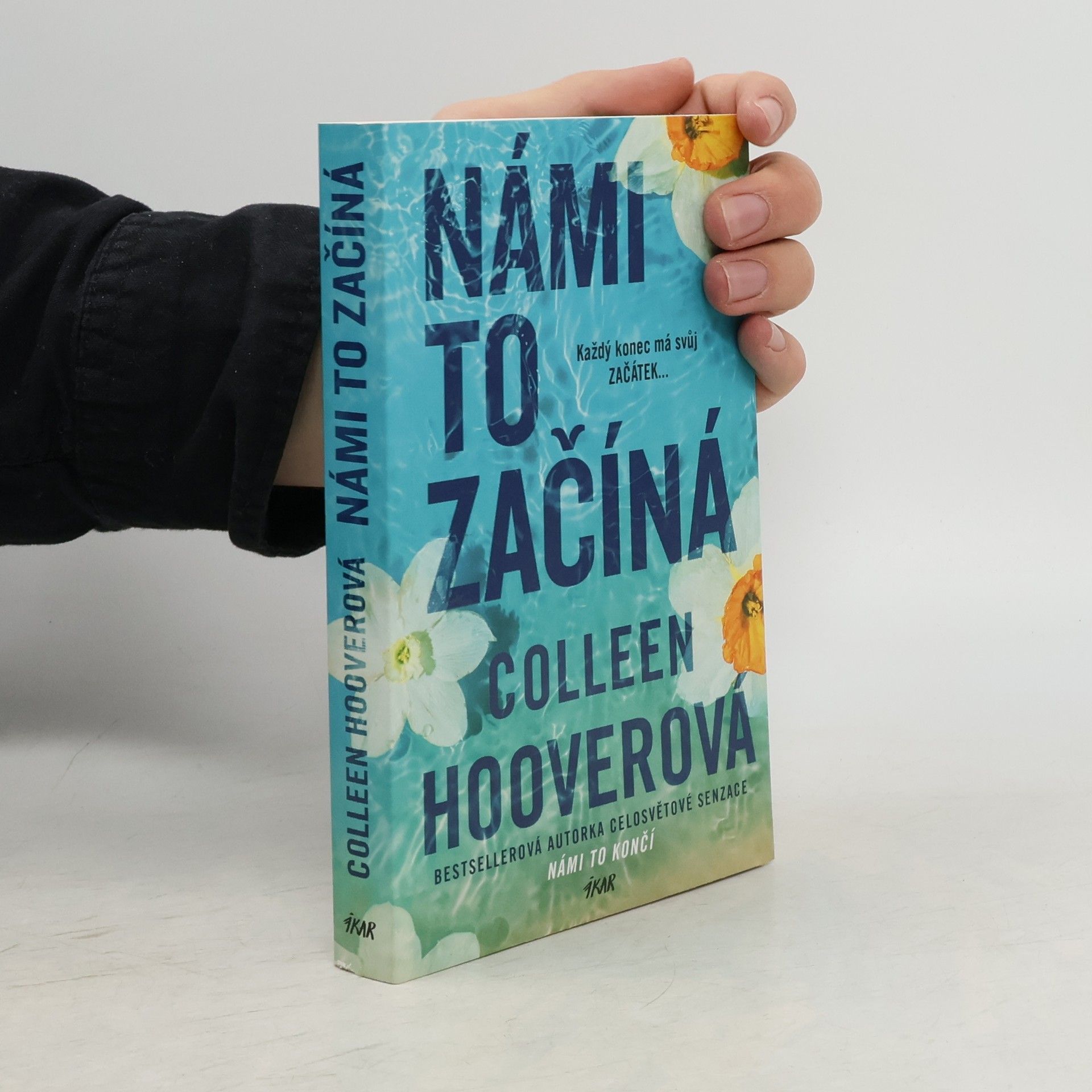 Colleen Hoover Námi to začíná