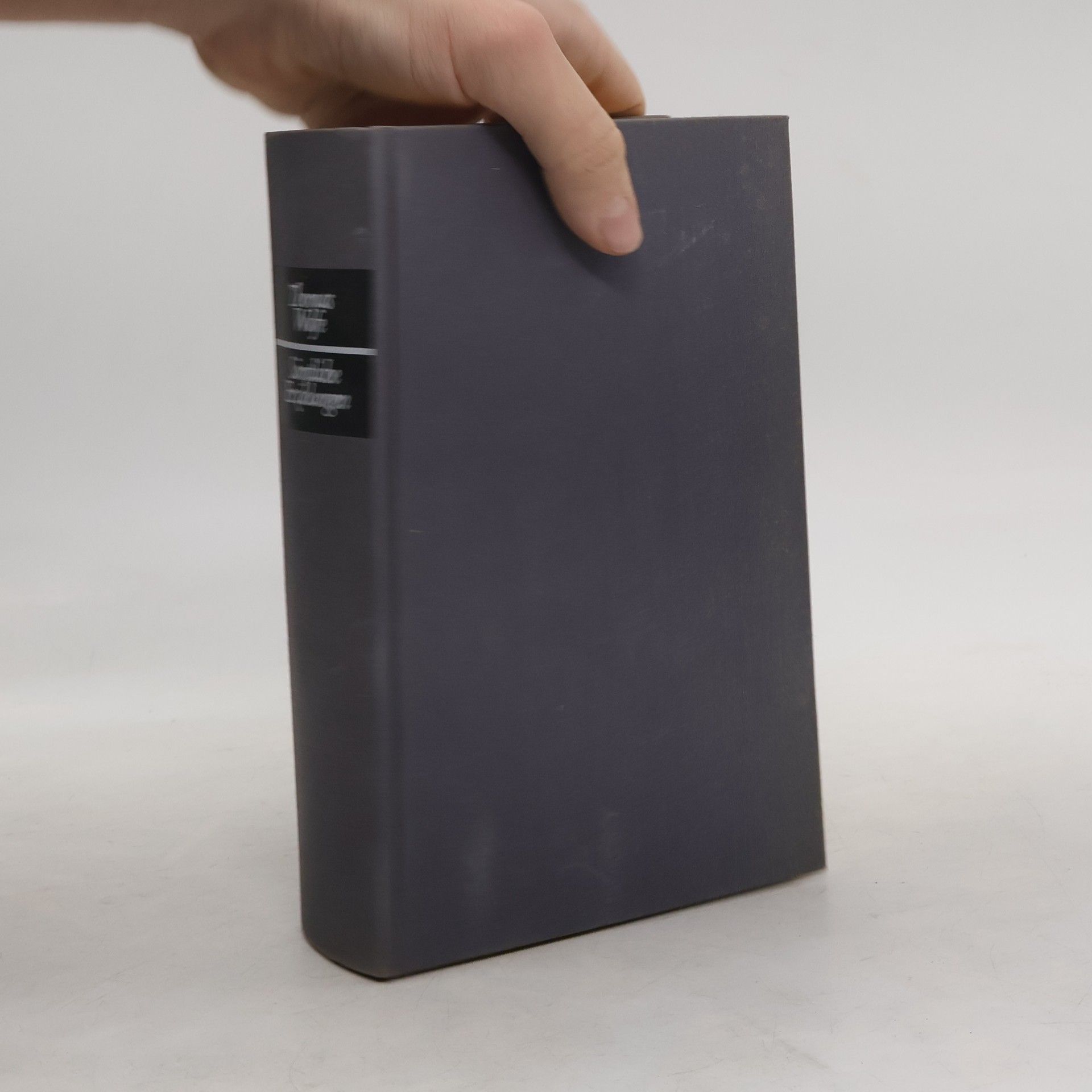 Thomas Wolfe samtliche erzahlungen