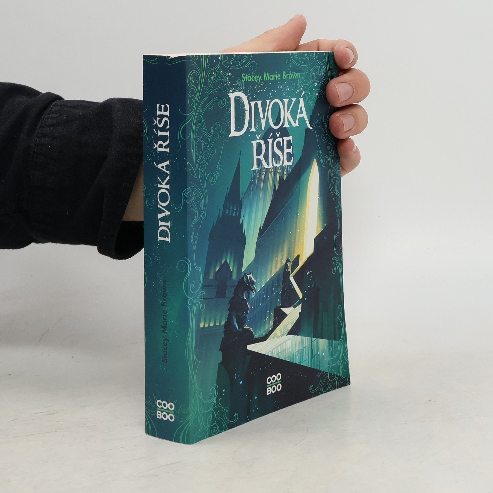 Stacey Marie Brown Divoká říše