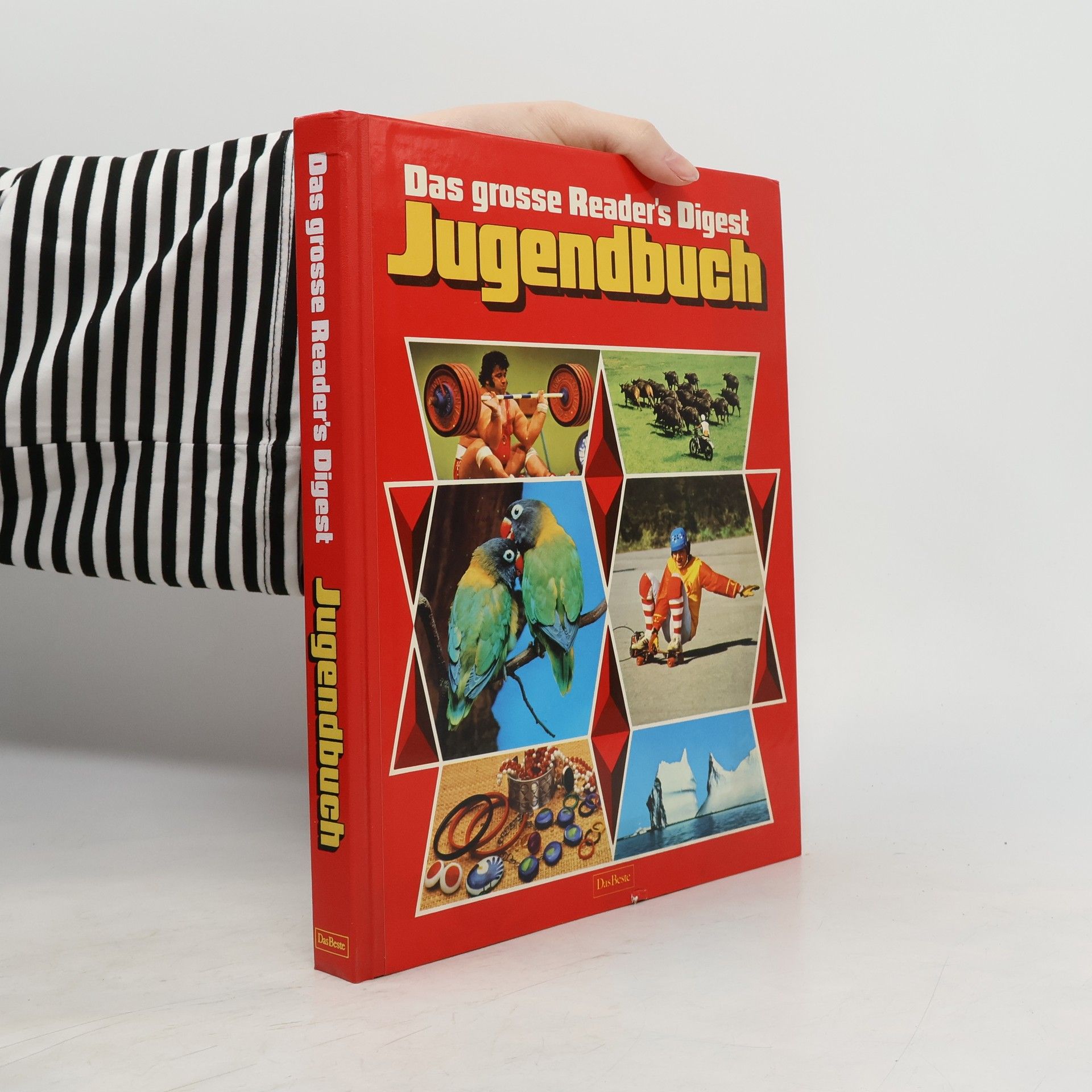 Autorenkollektiv Das große Reader's-Digest-Jugendbuch