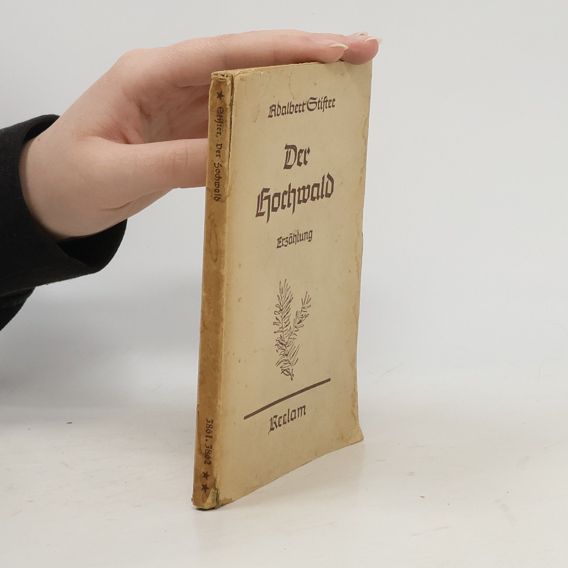 Adalbert Stifter Der Hochwald