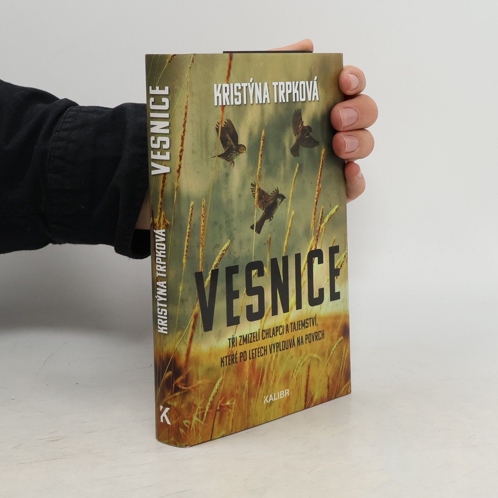 Kristýna Trpková Vesnice