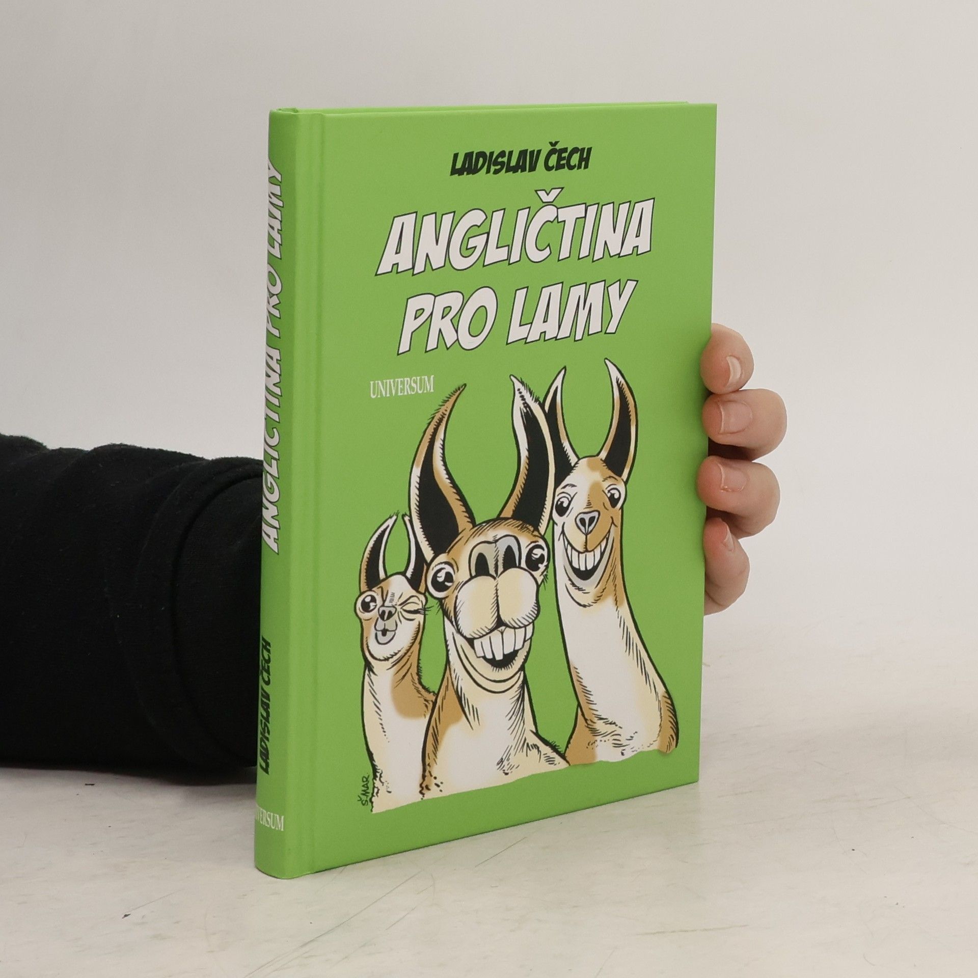 Ladislav Čech Angličtina pro lamy