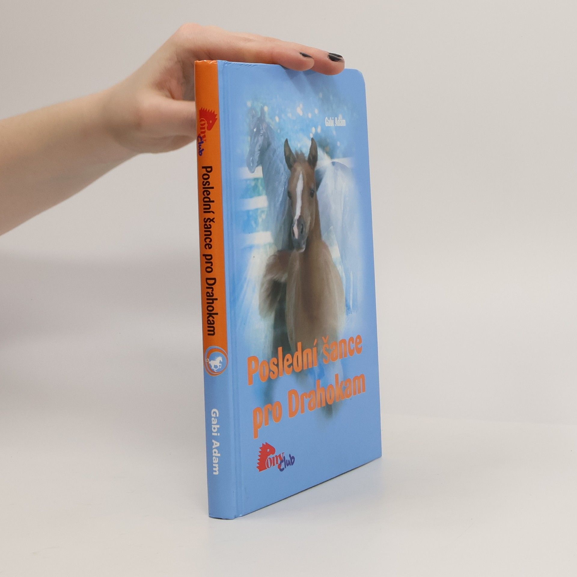 Gabi Adam Poslední šance pro Drahokam