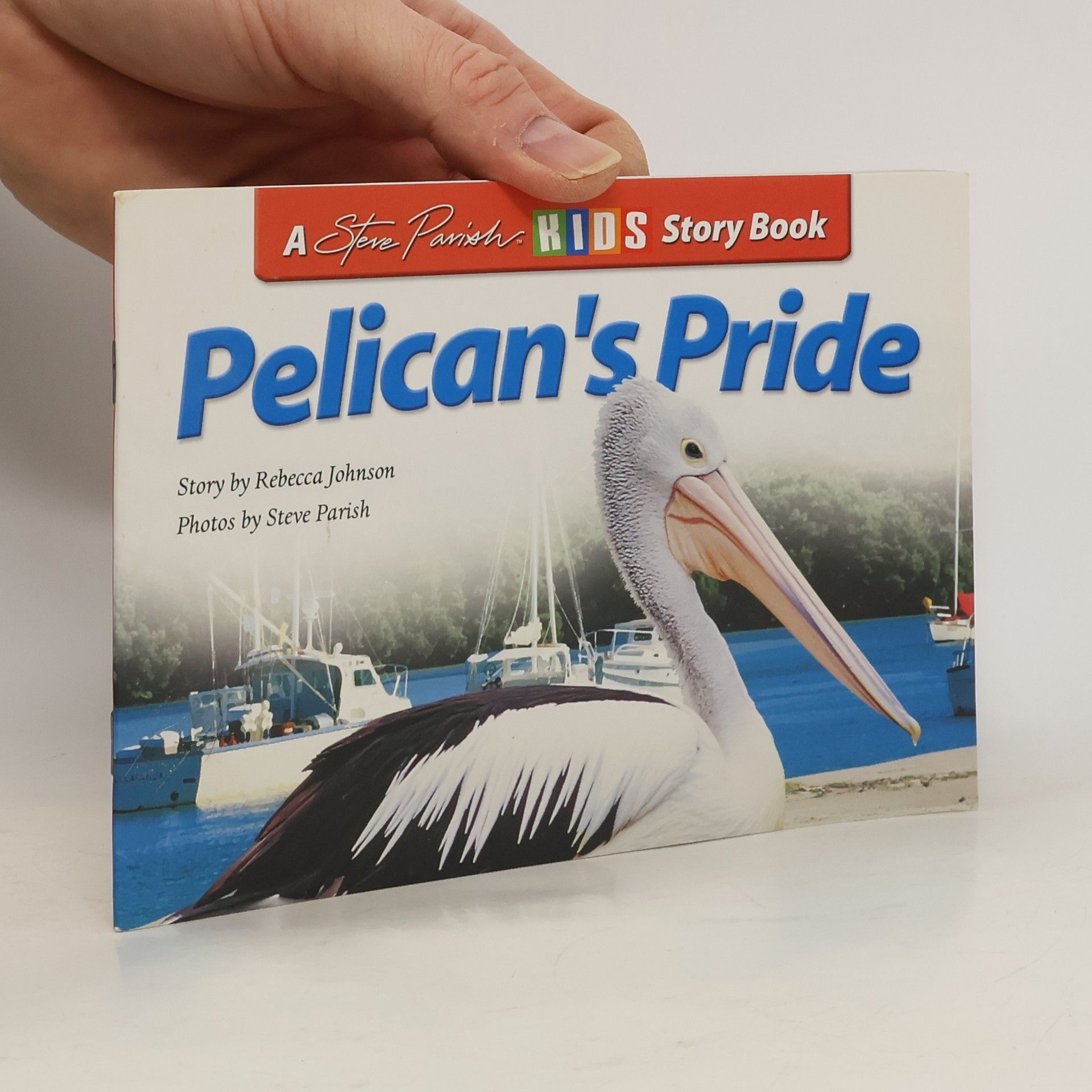 Rebecca Johnson Pelican's Pride
