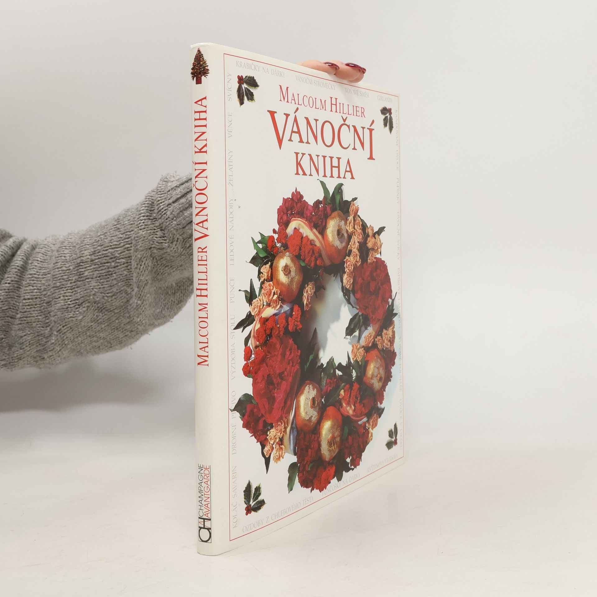 Malcolm Hillier Vánoční kniha