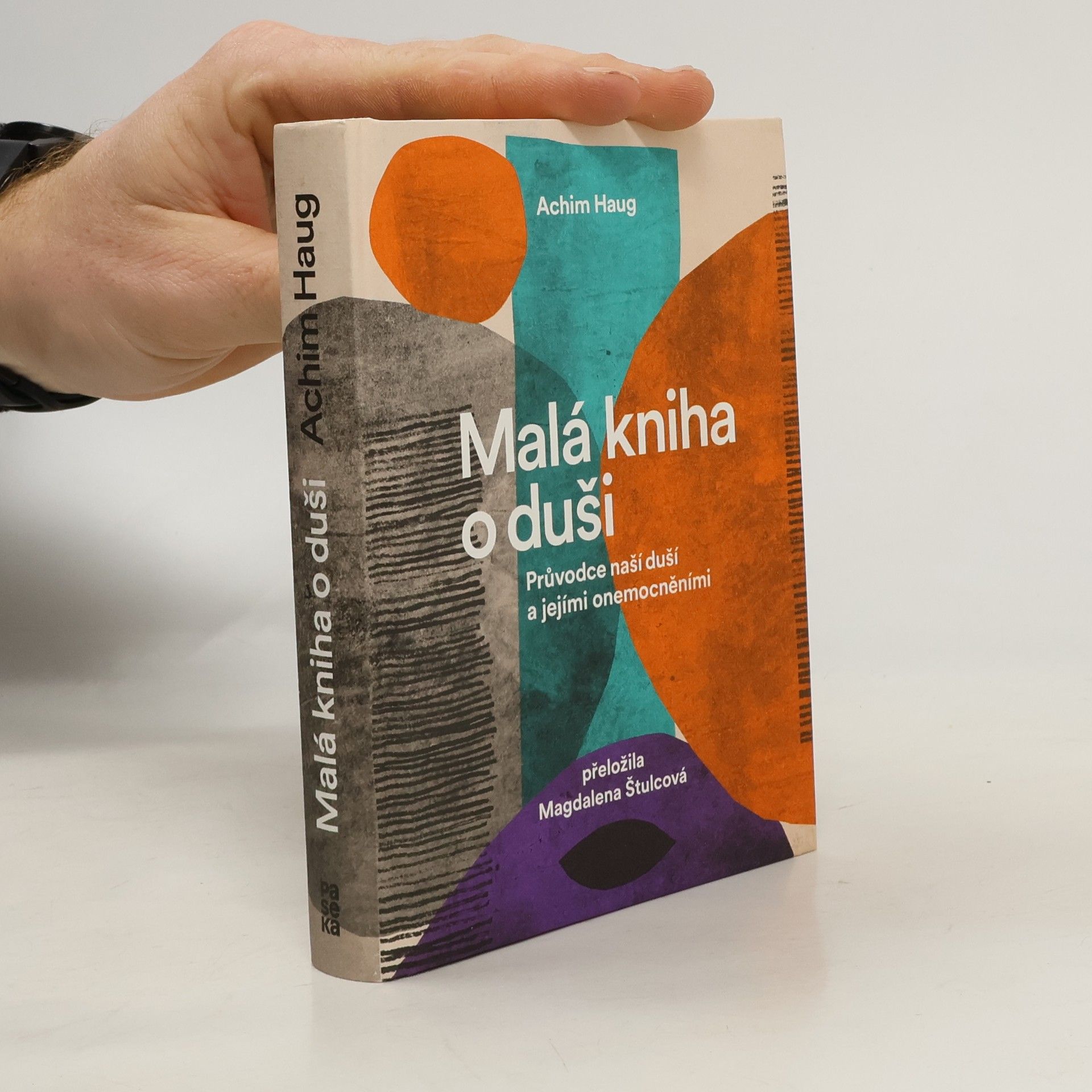 Achim Haug Malá kniha o duši. Průvodce na cesty naší psýchou a jejími nemocemi