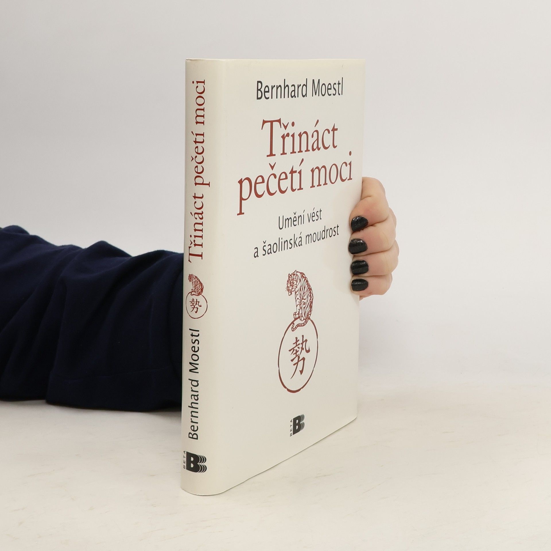Bernhard Moestl Třináct pečetí moci : umění vést a šaolinská moudrost