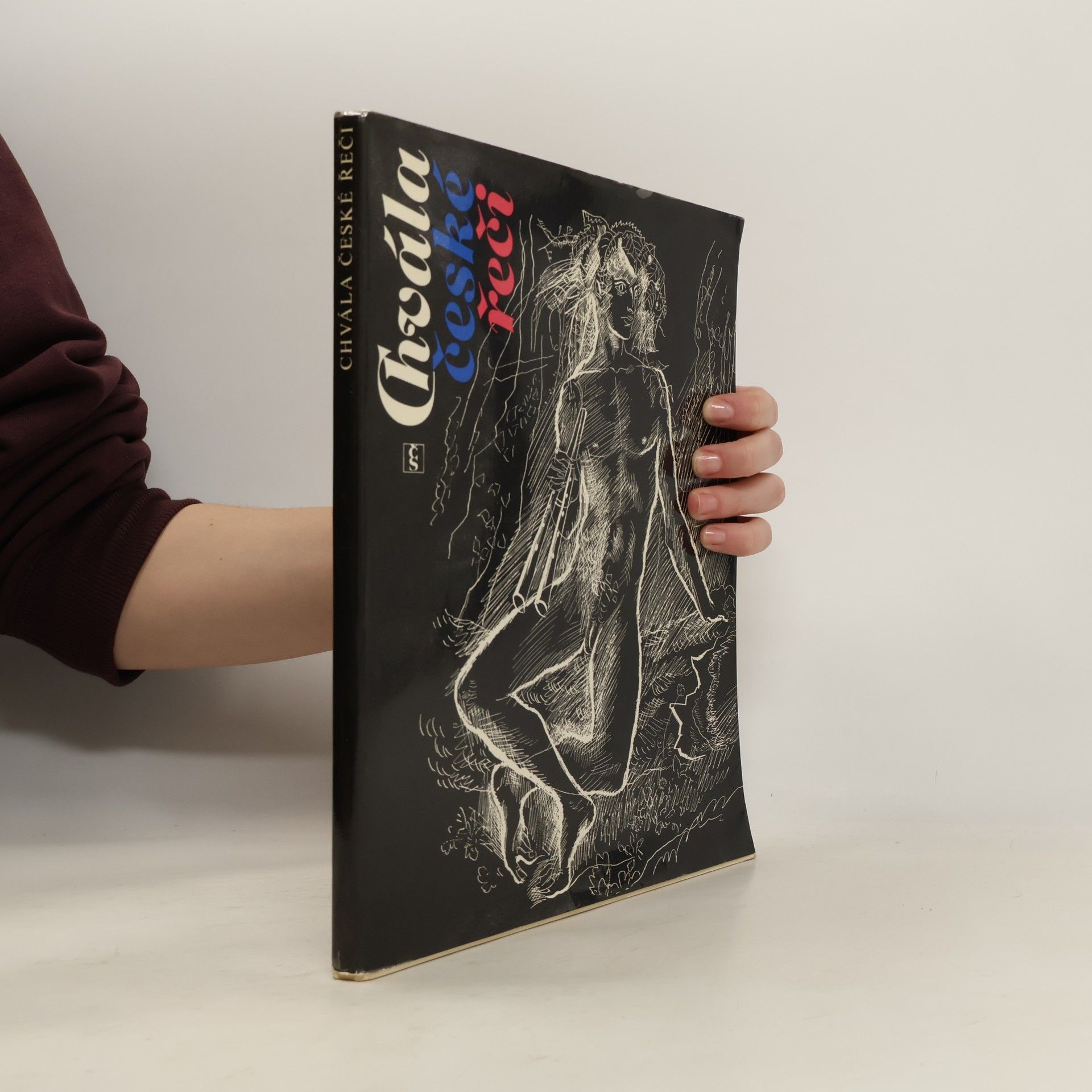 Jaroslava Janáčková Chvála české řeči, aneb, O národě v řeči a o řeči v národě